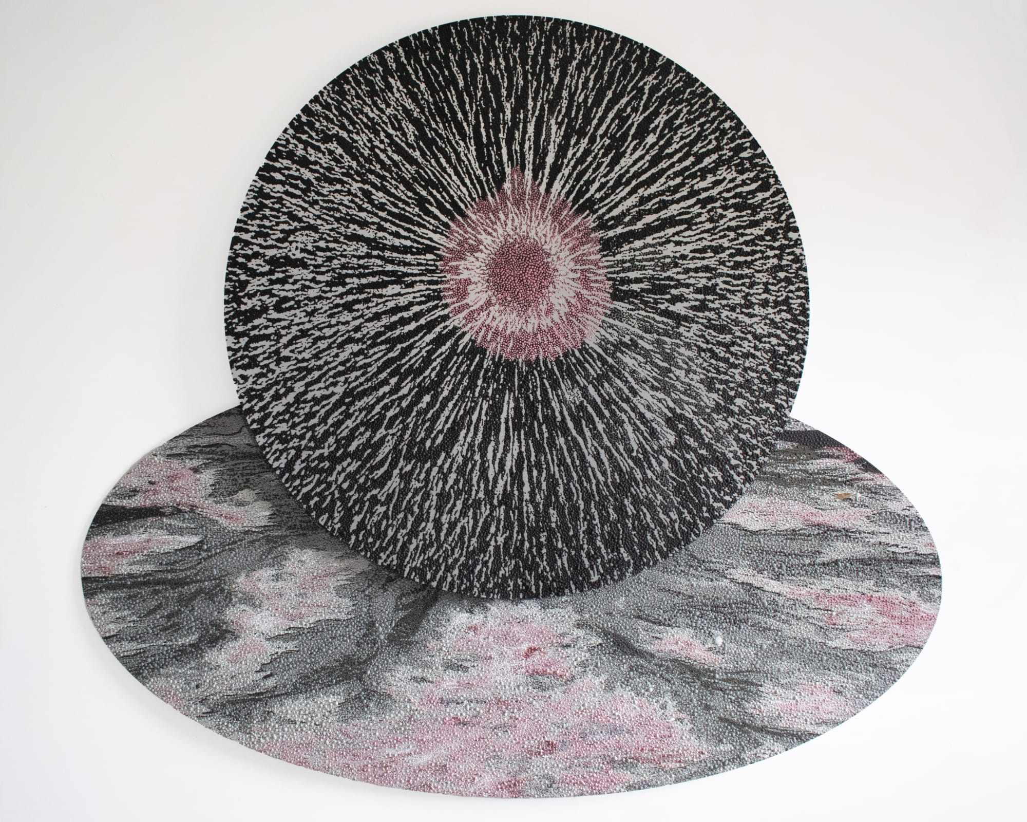 Peter Panyoczki, Parthenogenesis, 2024