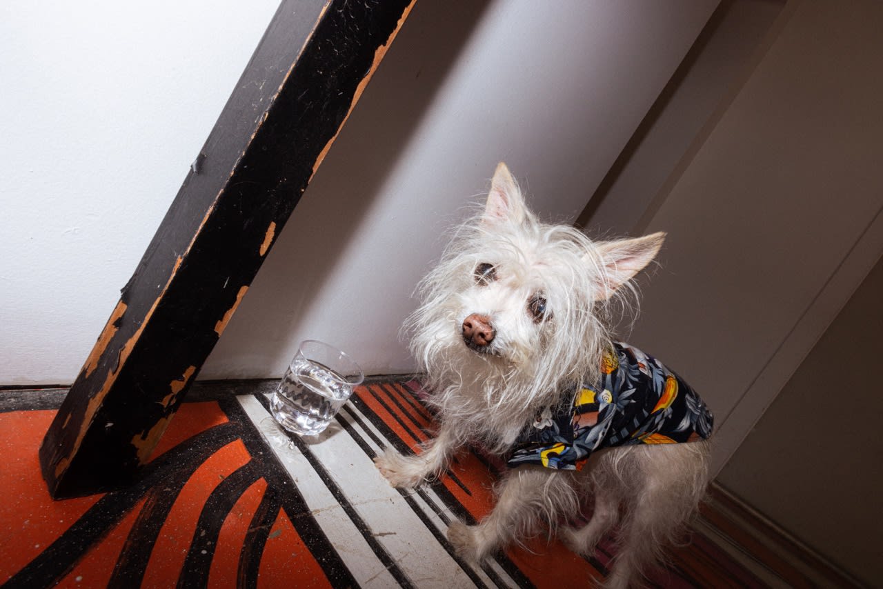 Ashley Swarts "Waiting For A Sign"