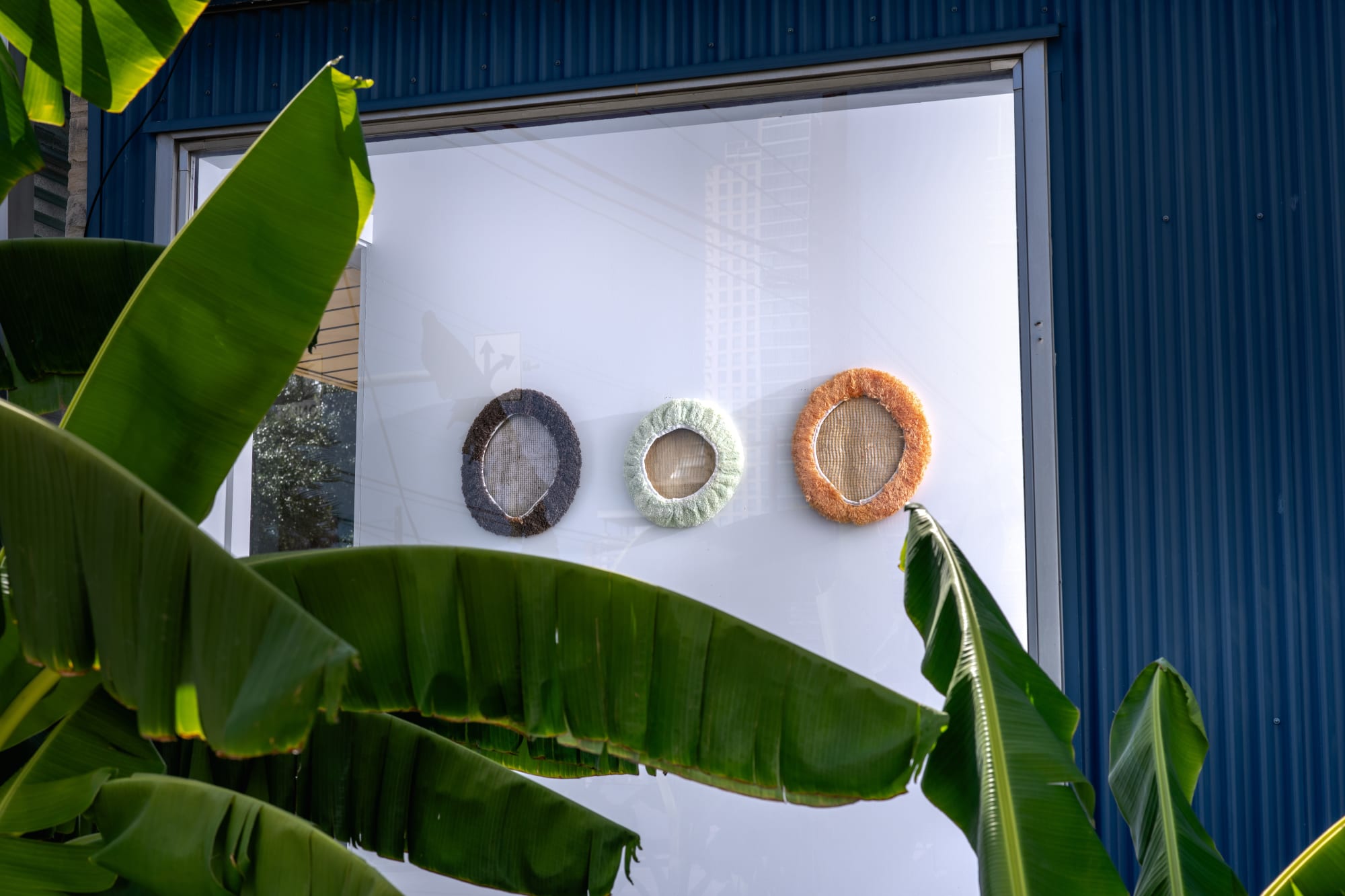 Andy Coolquitt: C0oOT