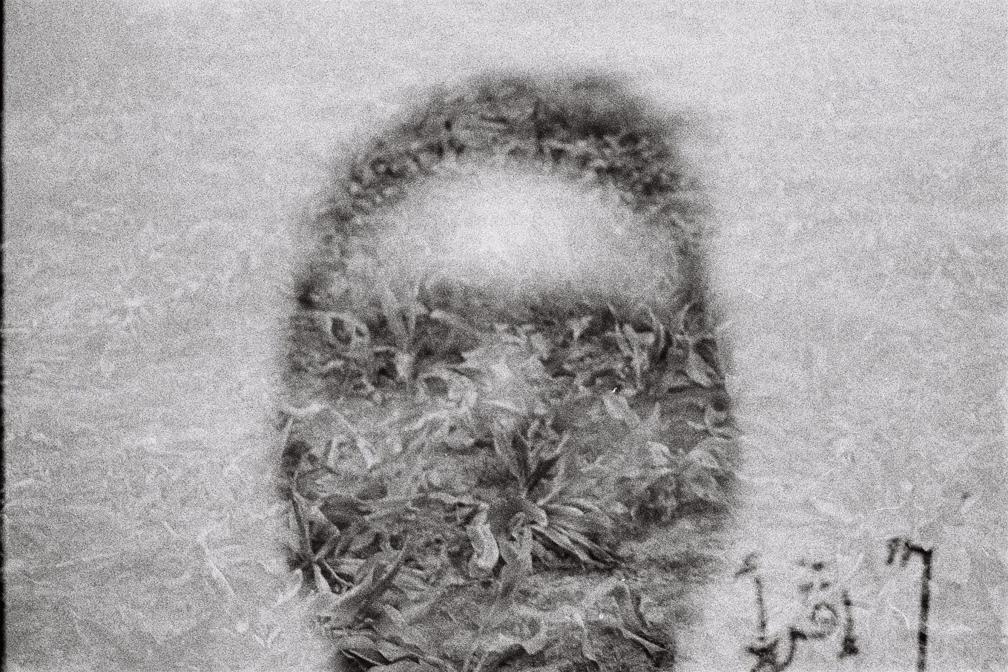 Fakhri El Ghezal, Chott Maria 4, 2014