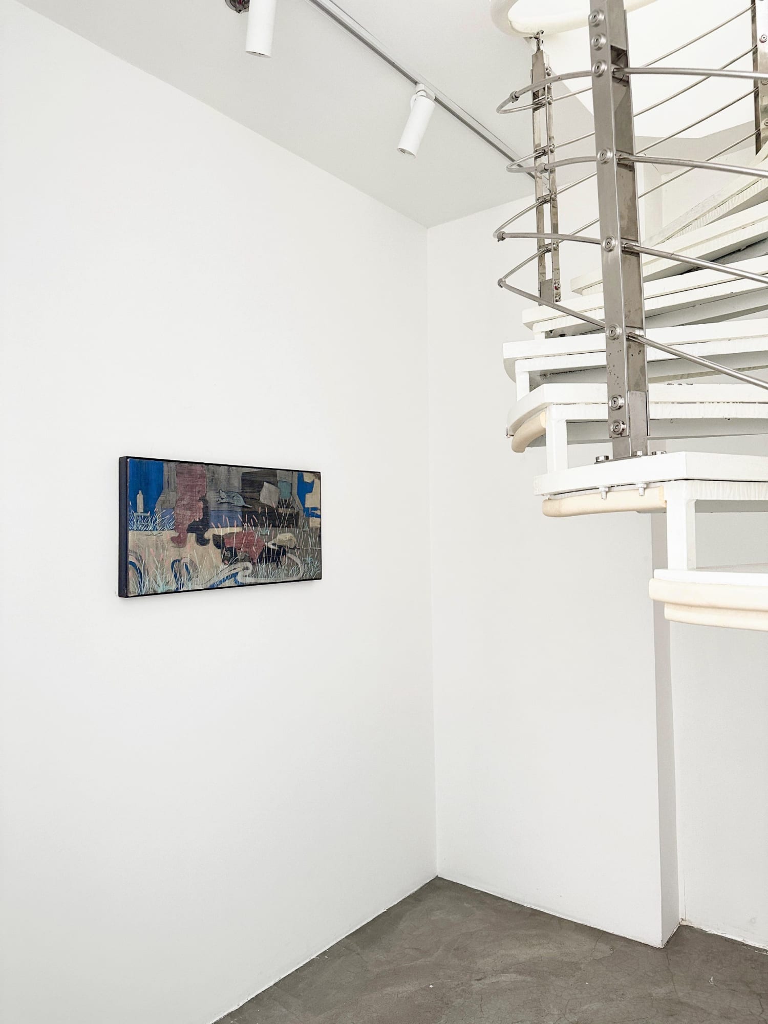 Cabinet of Curiosities