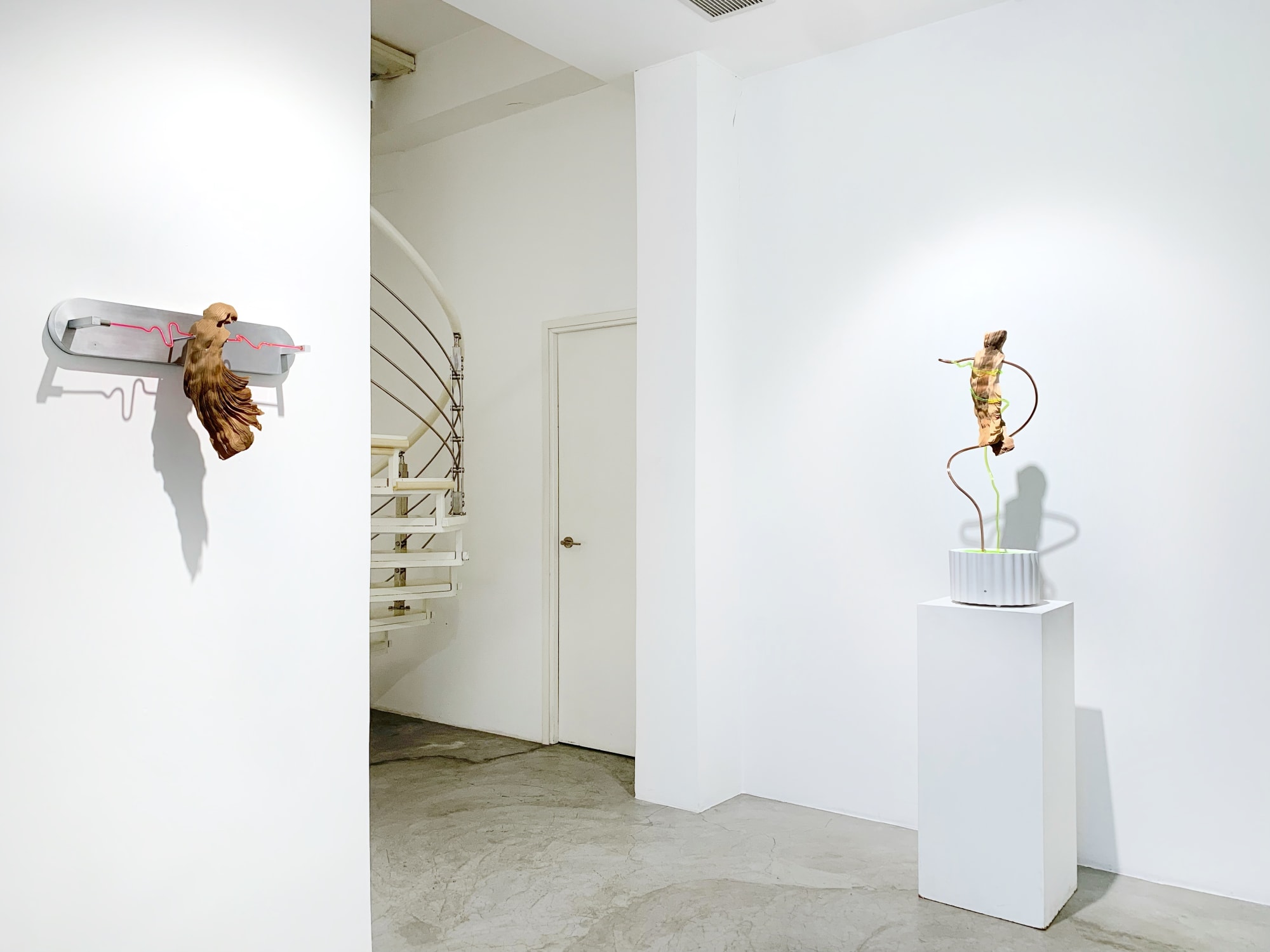 The Weight of Stillness