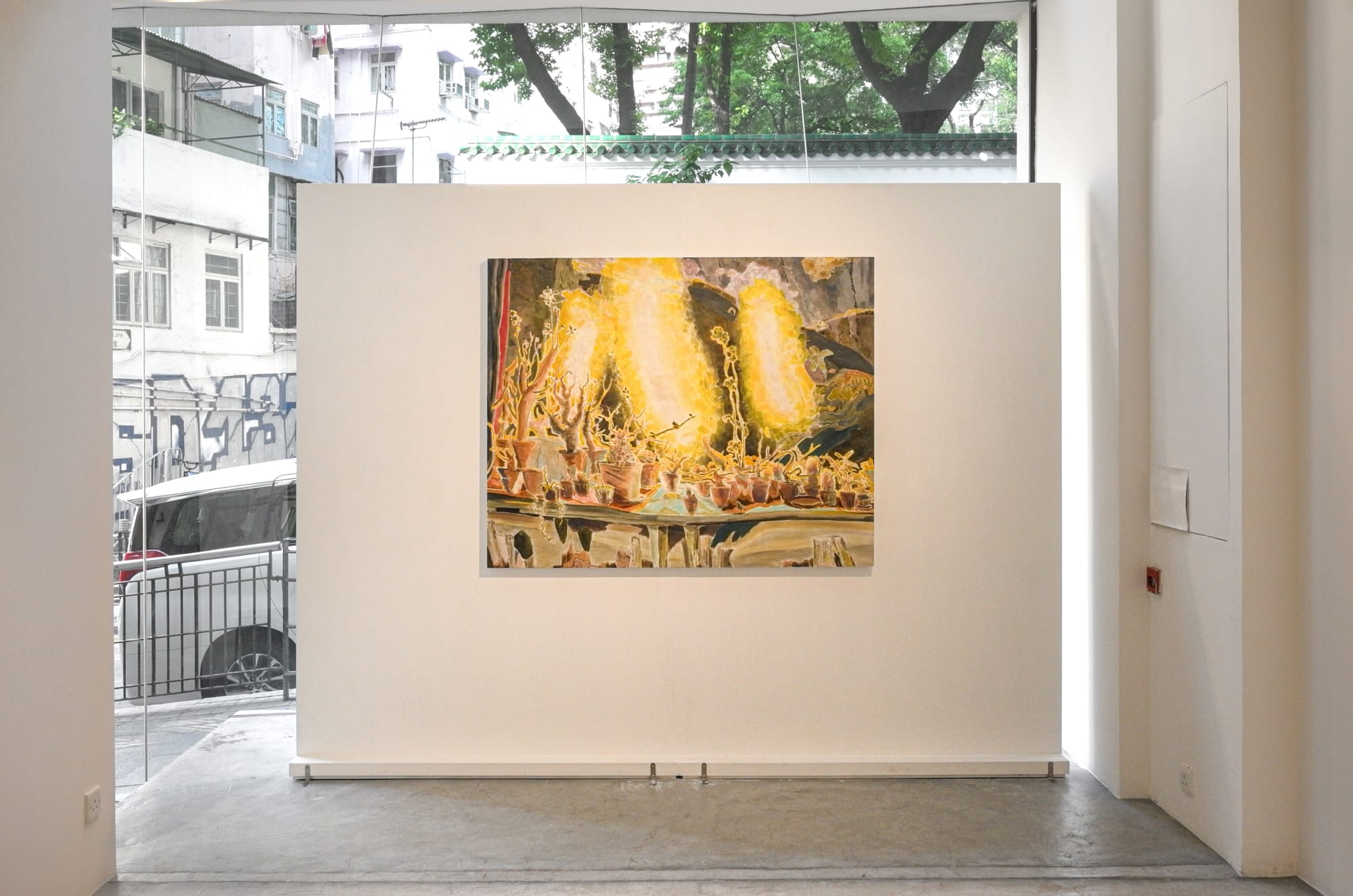 spinelessly planting