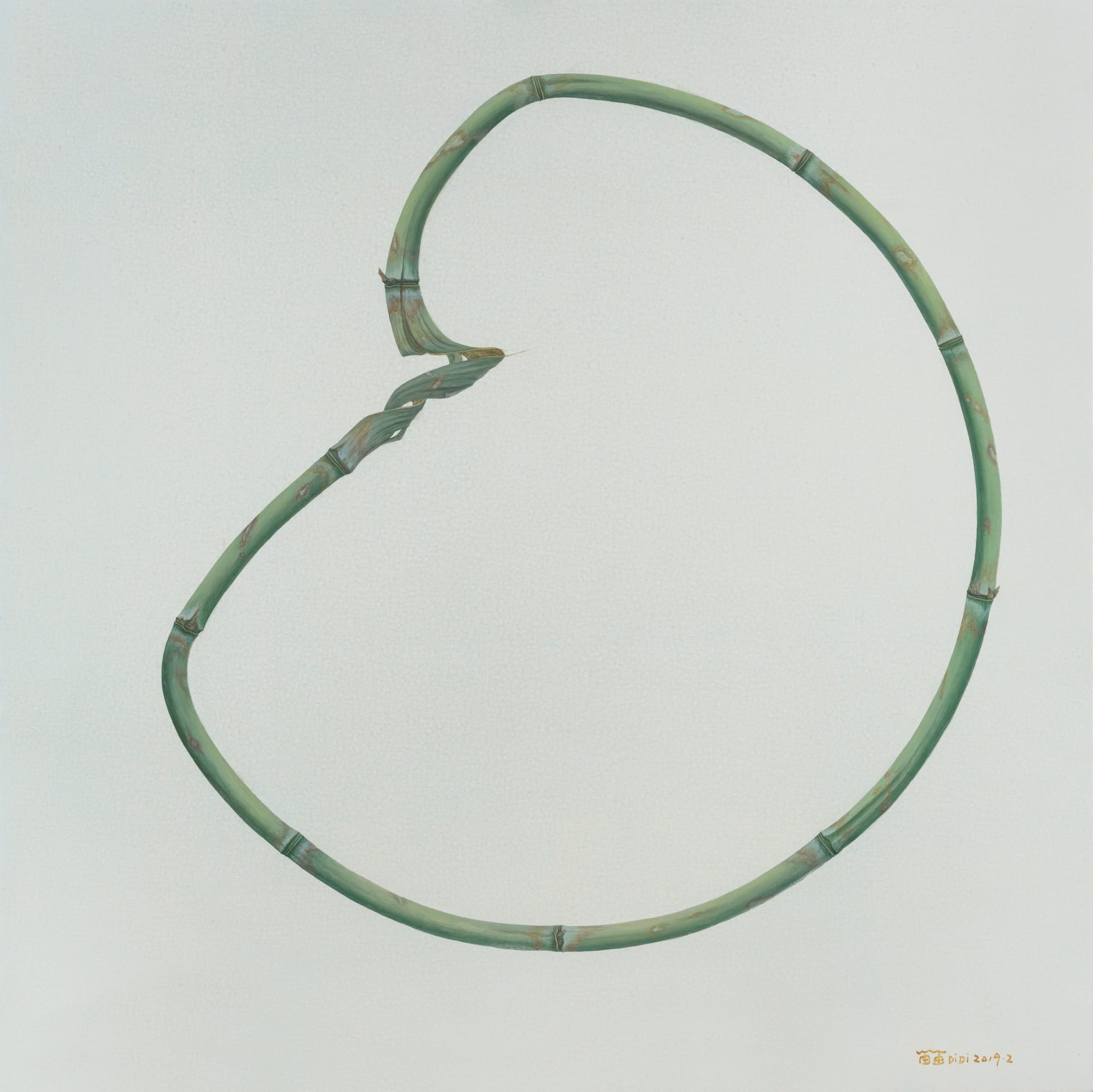 Wu Didi Solo Exhibition