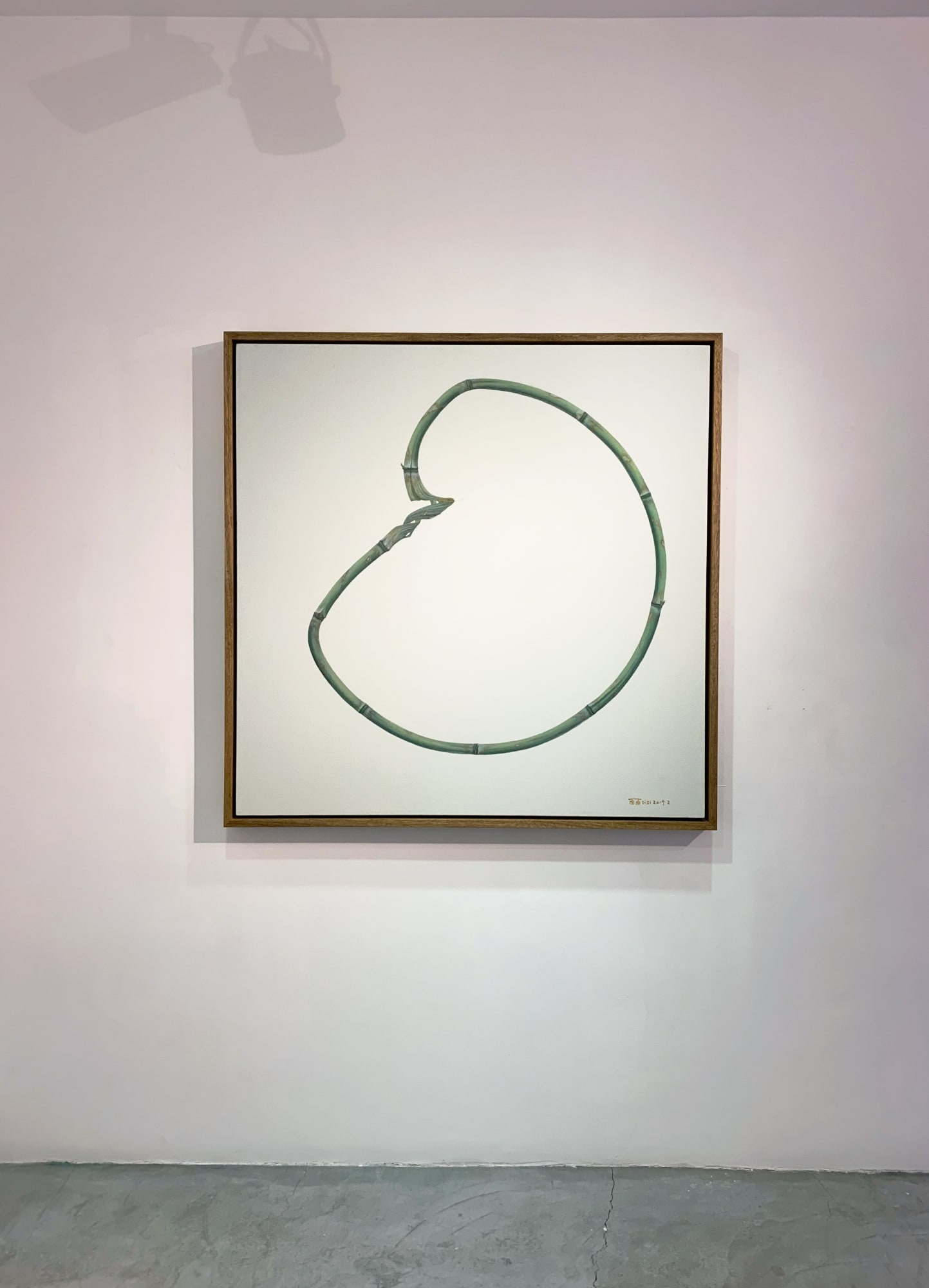 Wu Didi Solo Exhibition