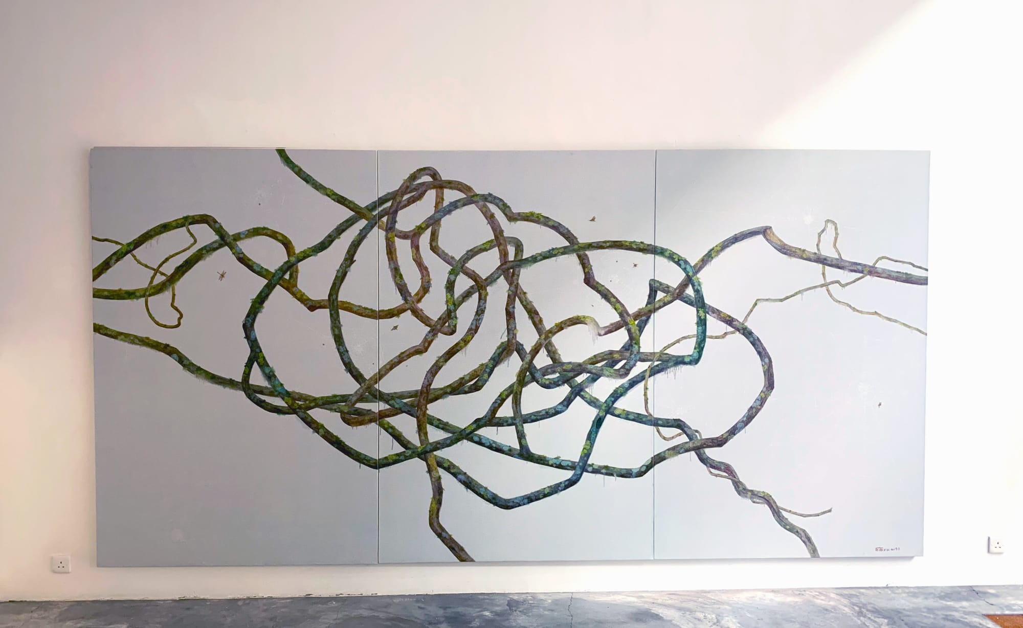 Wu Didi Solo Exhibition