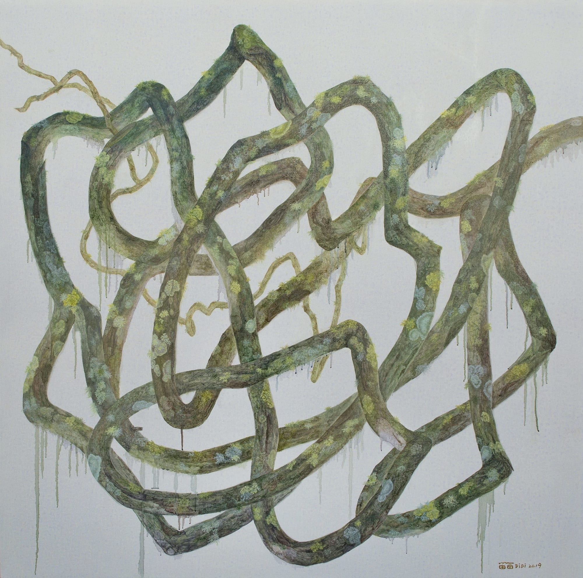 Wu Didi Solo Exhibition