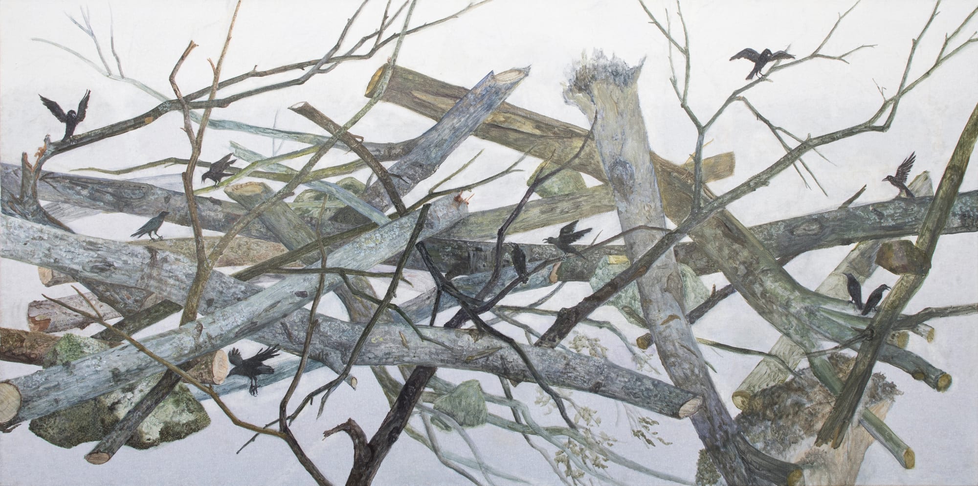 Wu Didi Solo Exhibition