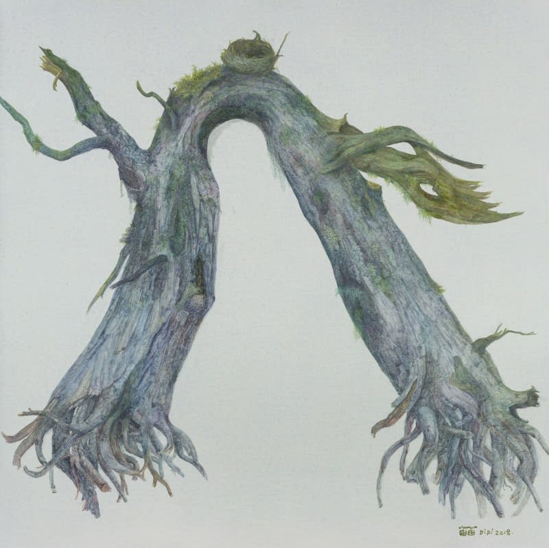 Wu Didi Solo Exhibition