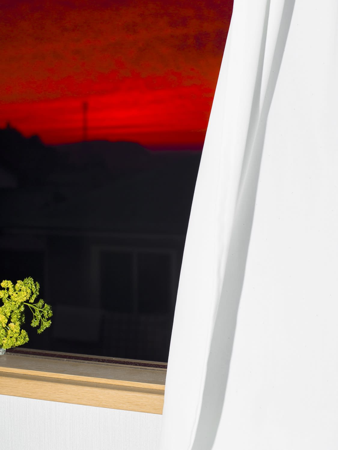 Fumi Ishino Untitled (FIMCSF065), 2016 Archival Pigment Print