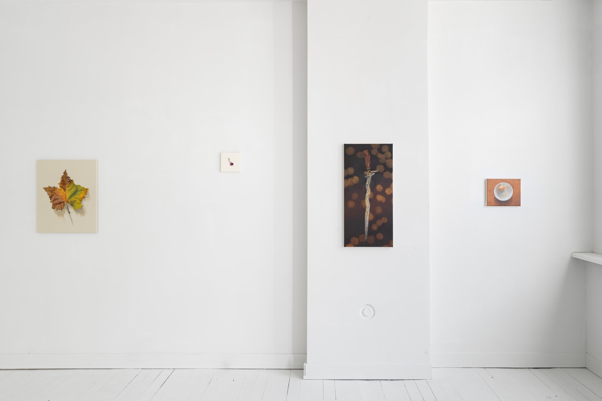 Belonging Among Belongings