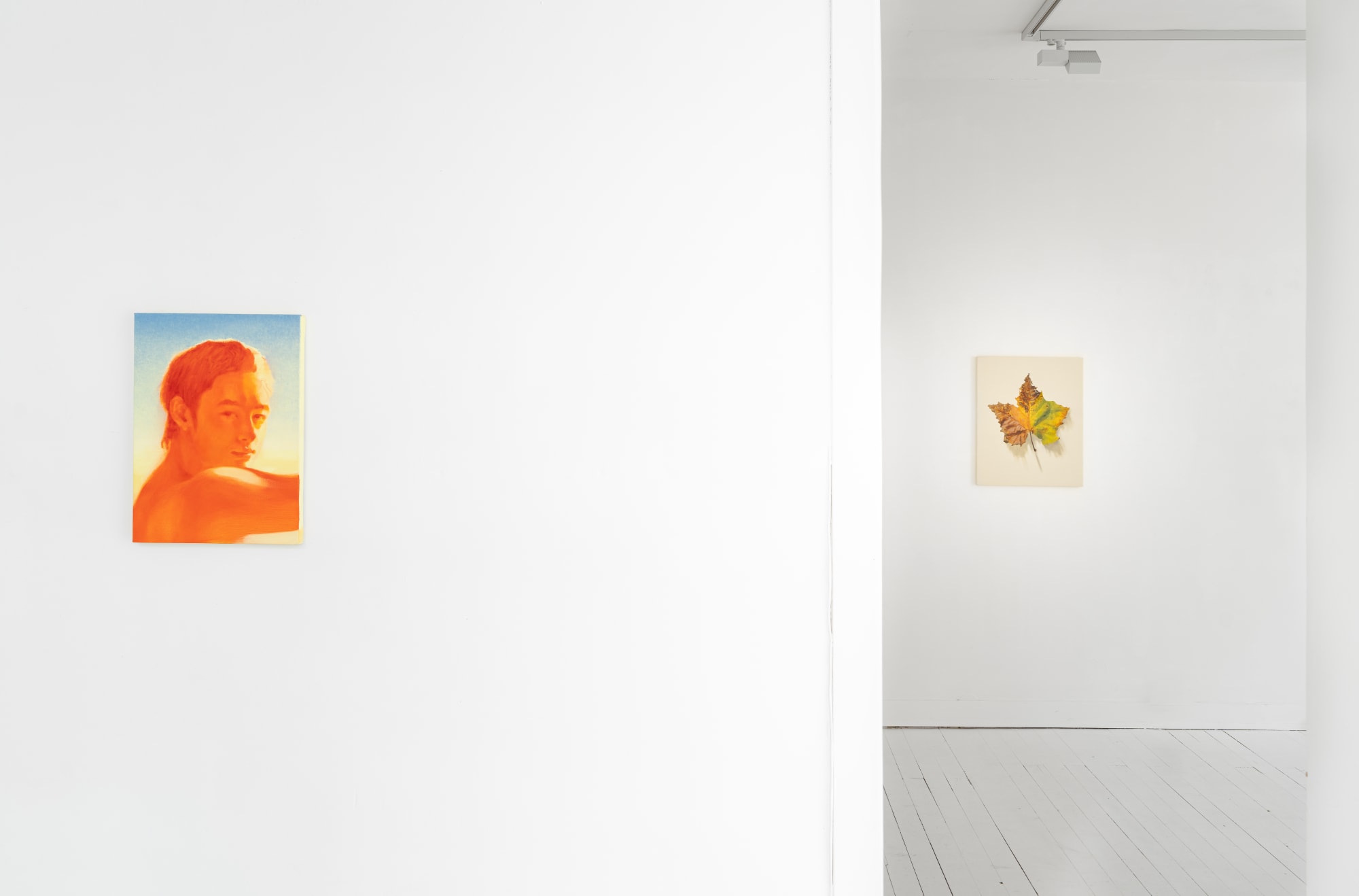 Belonging Among Belongings