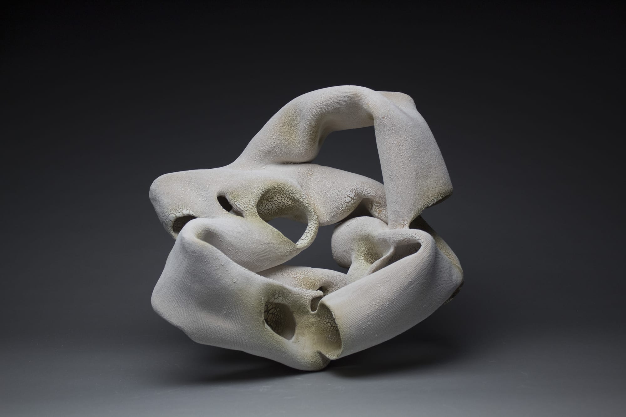 Sierra Caley Moss Grows on the Northern Side, 2020 Stoneware 24 x 18 x 12 in. SOLD