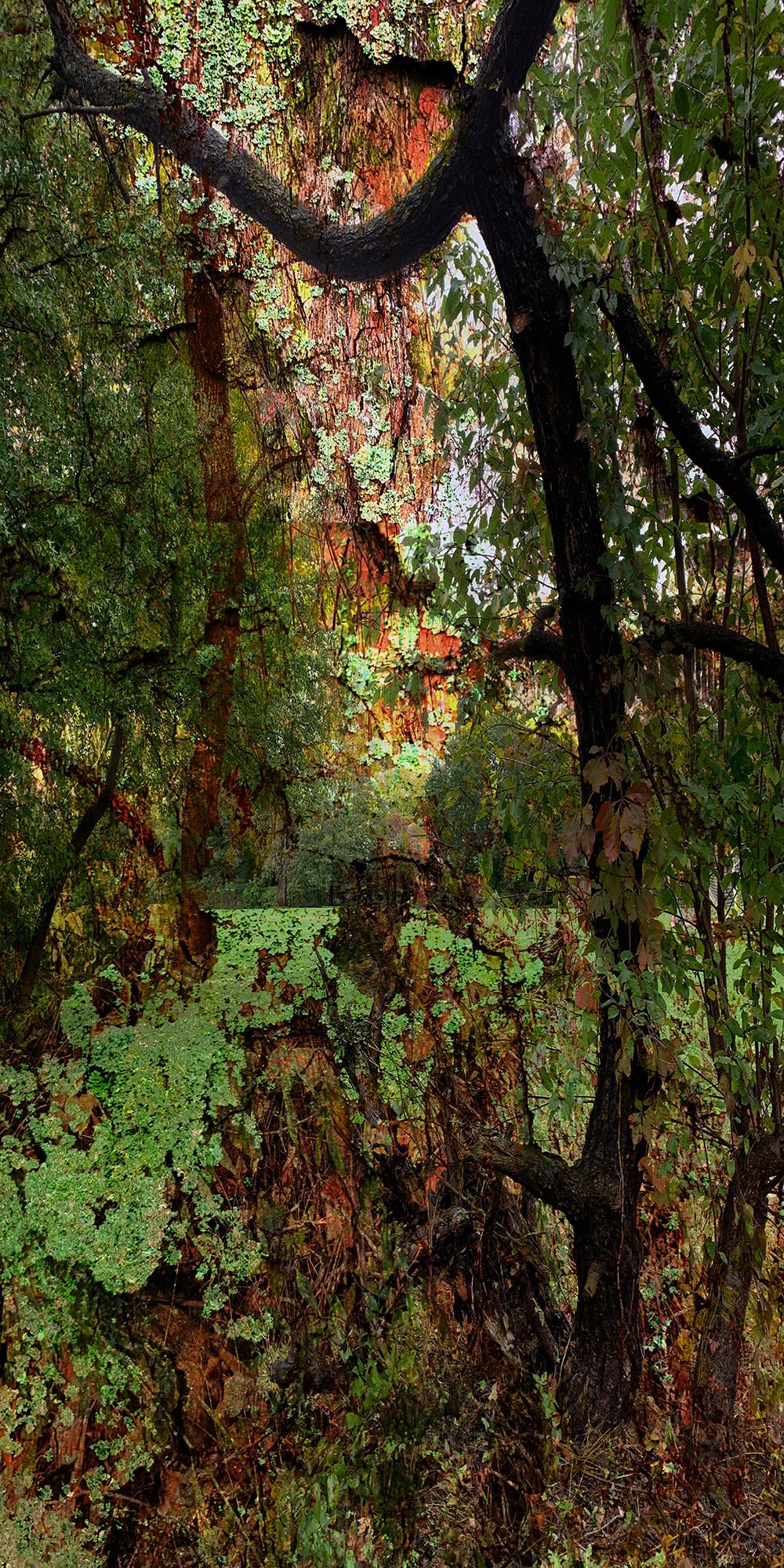 Eileen de Rosas Rain, October, 2019 Digital print 36 x 18 in. $ 1,500