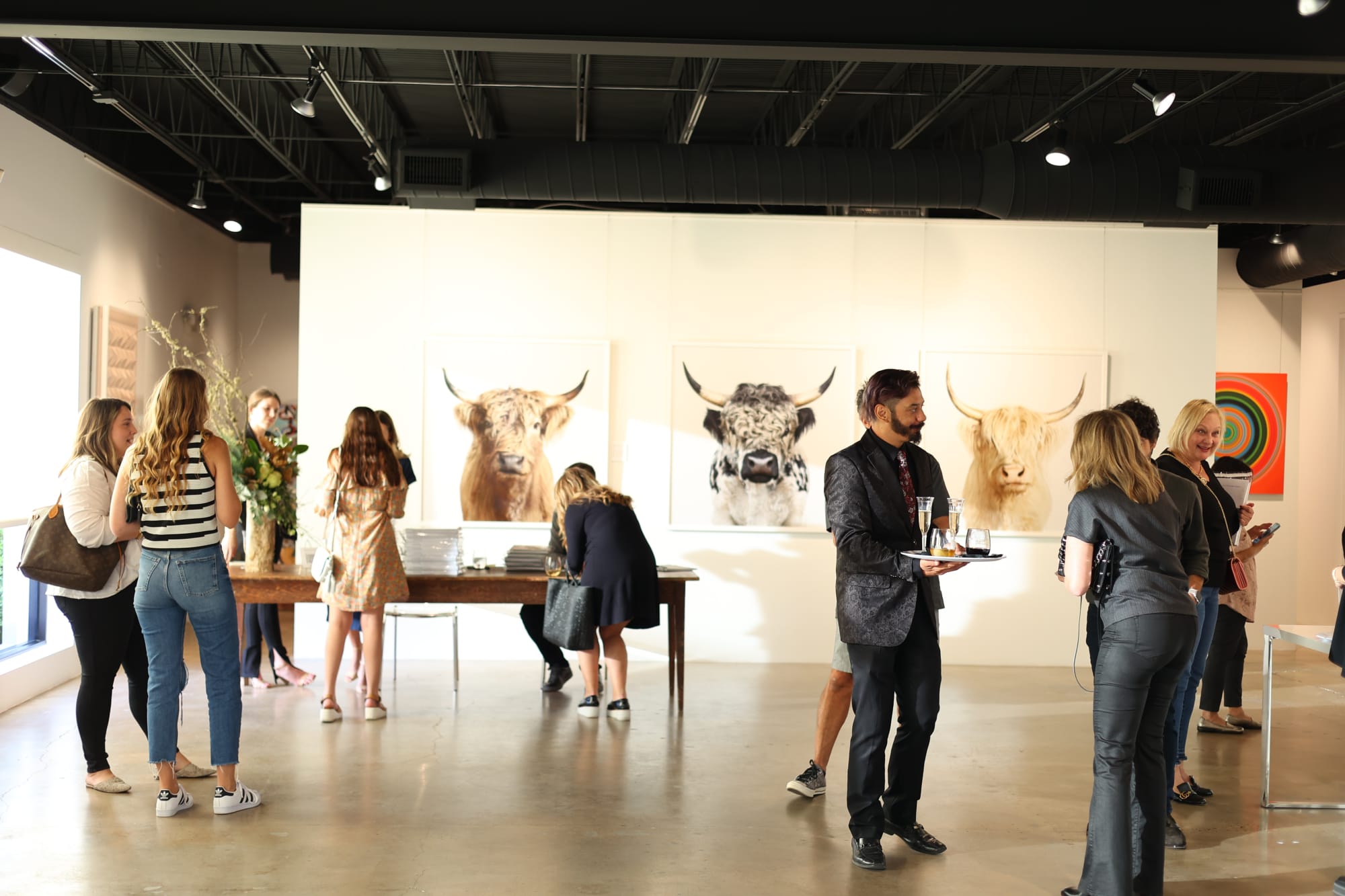 Randal Ford: A Collection of Animal Portraits