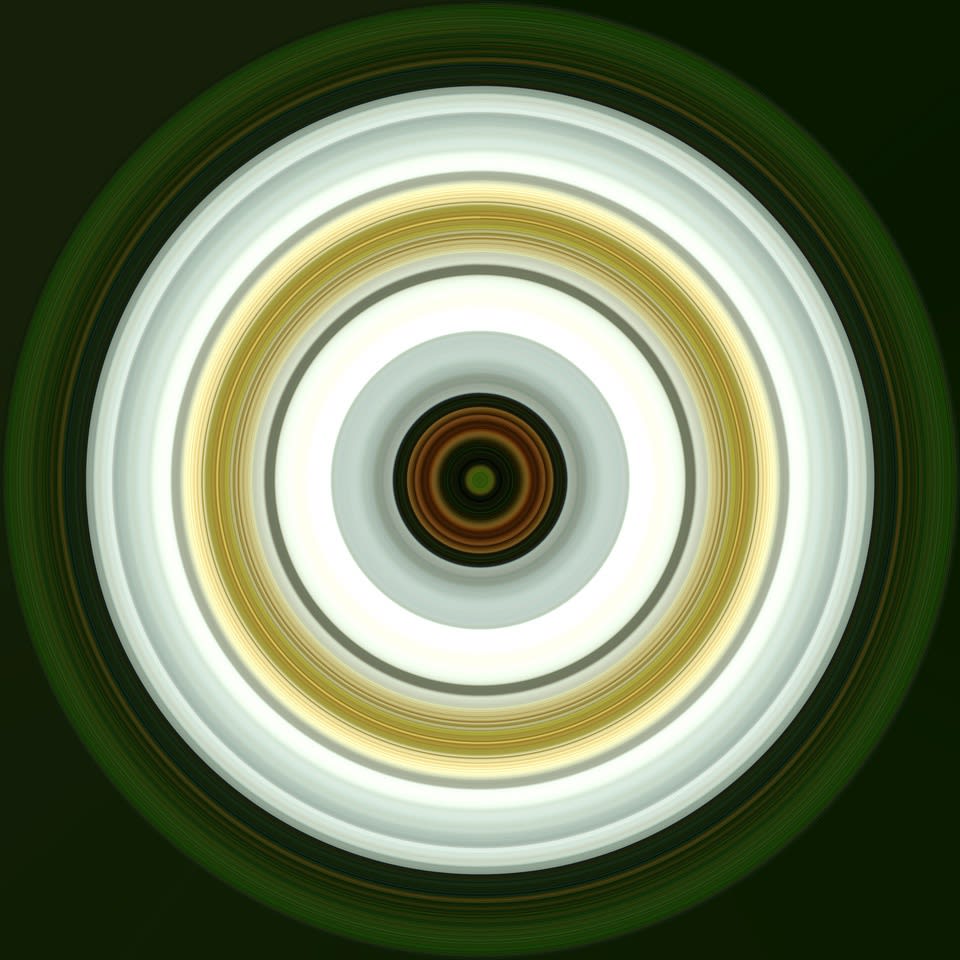 John Holt Smith, Magnolia Oculus #3, 2023