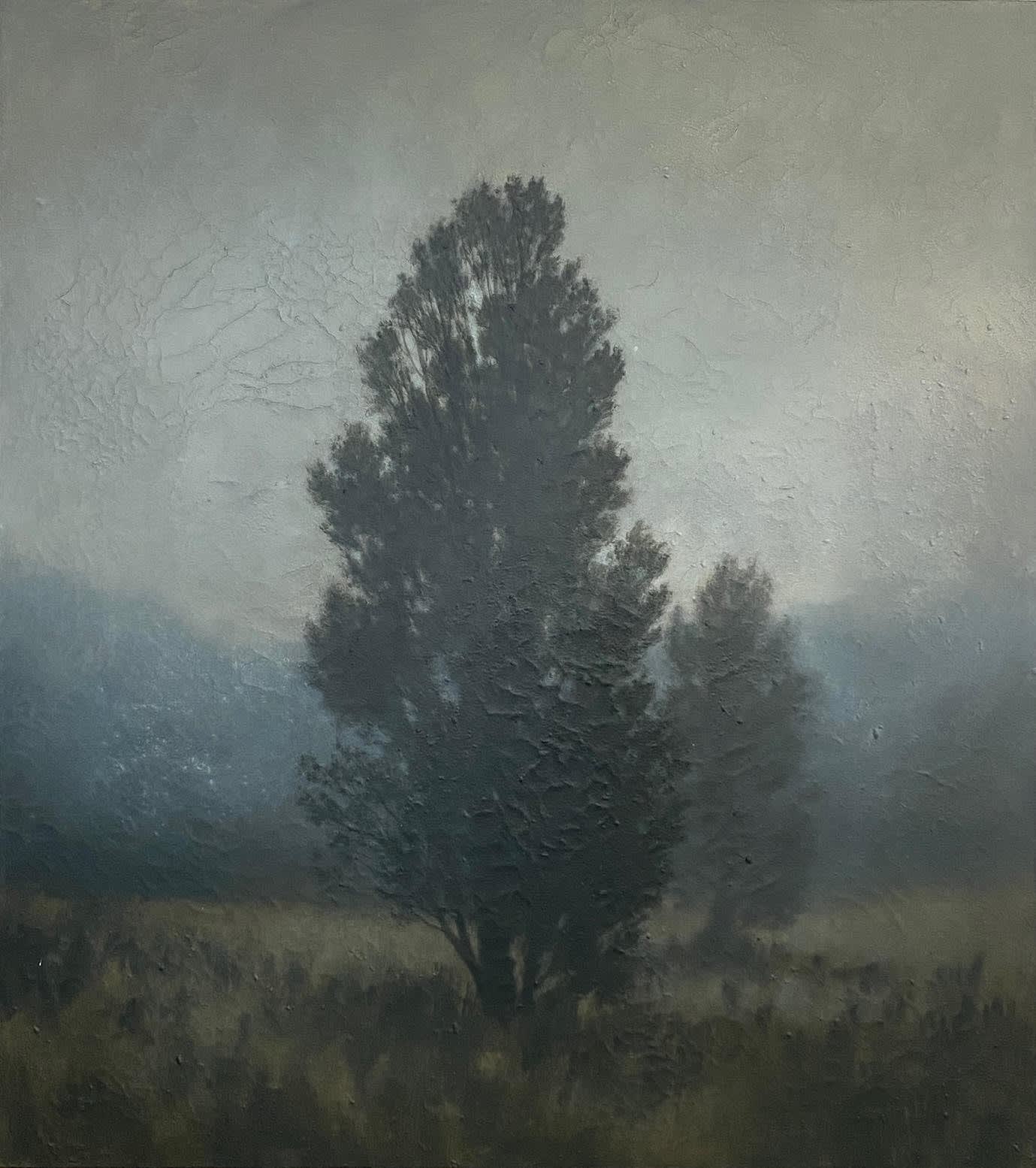 Michael Dines, Jacob's Creek Cedars, 2024