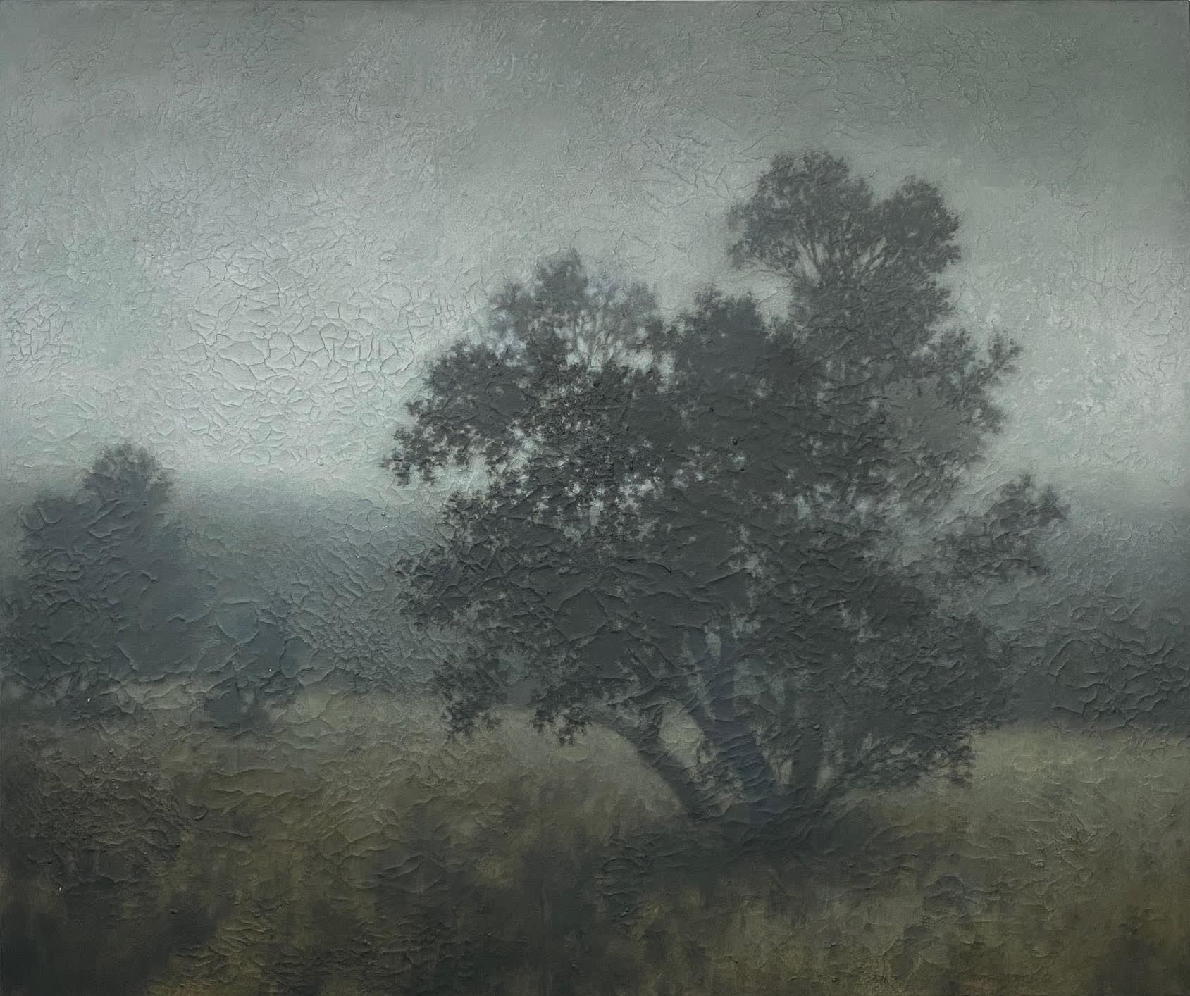 Michael Dines, Lacote Wax Myrtle, 2024