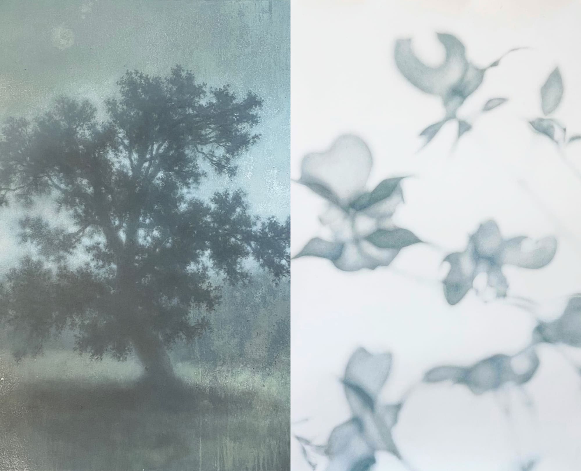 The Arboreal