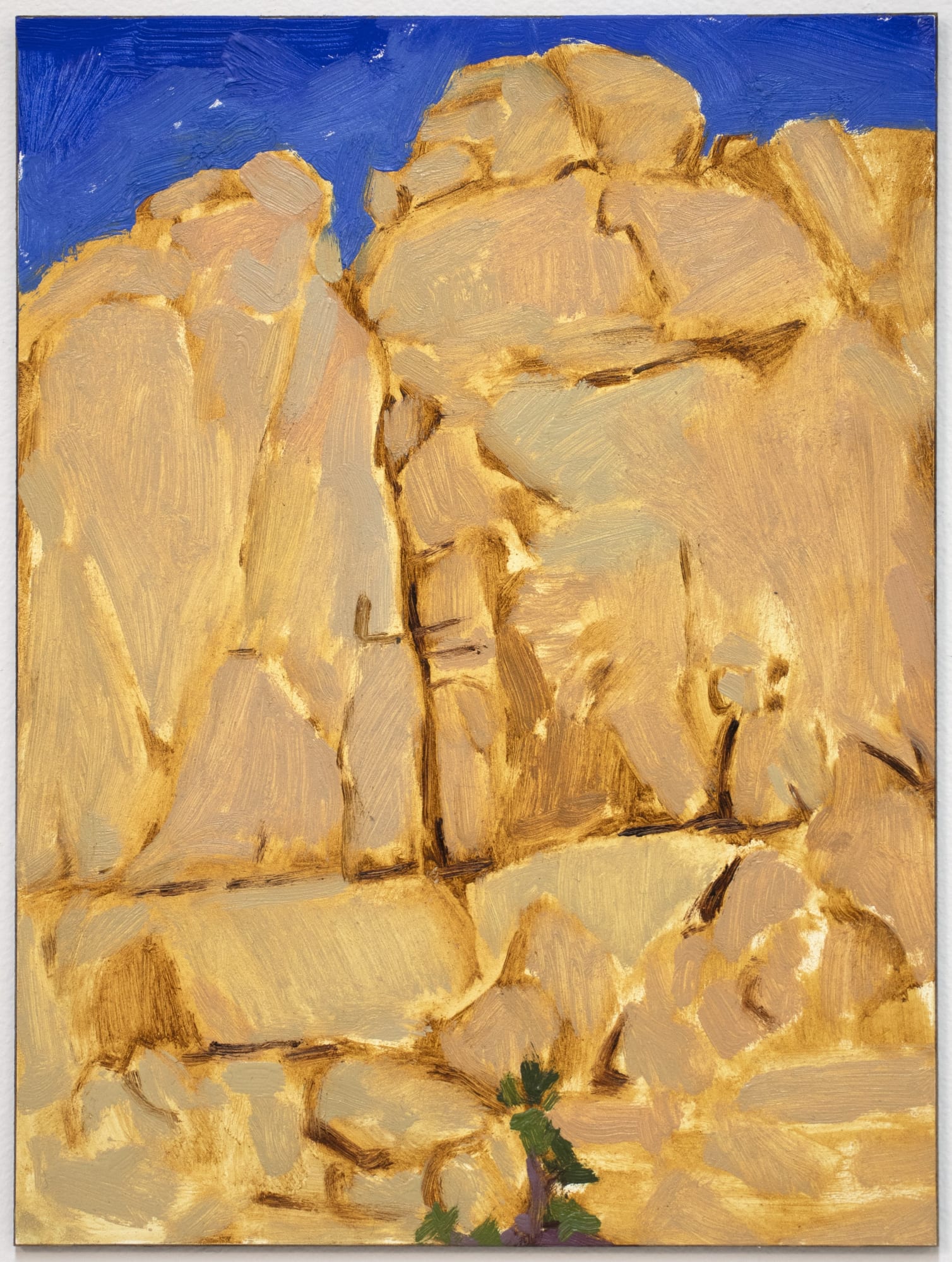 Rachel Rickert: Close Range