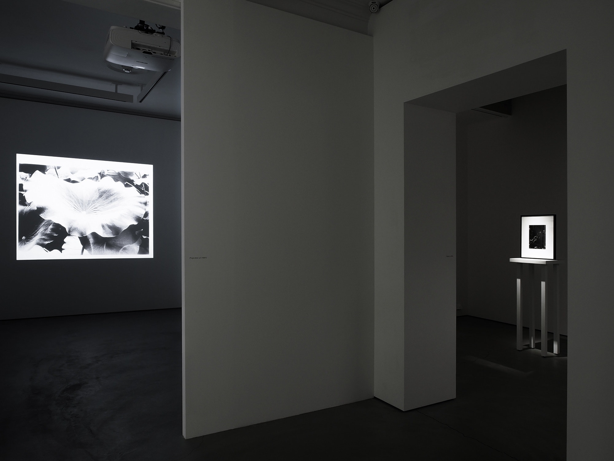 Nakahira Takuma - 1974 to 1989