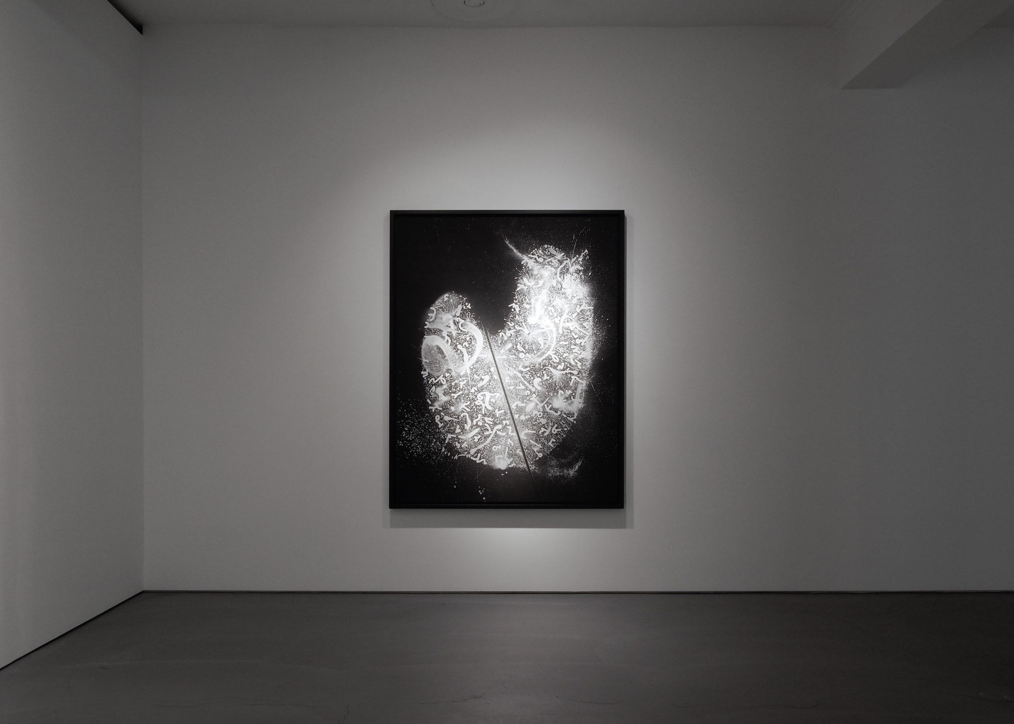 Hiraku Suzuki: The Writing of Meteors