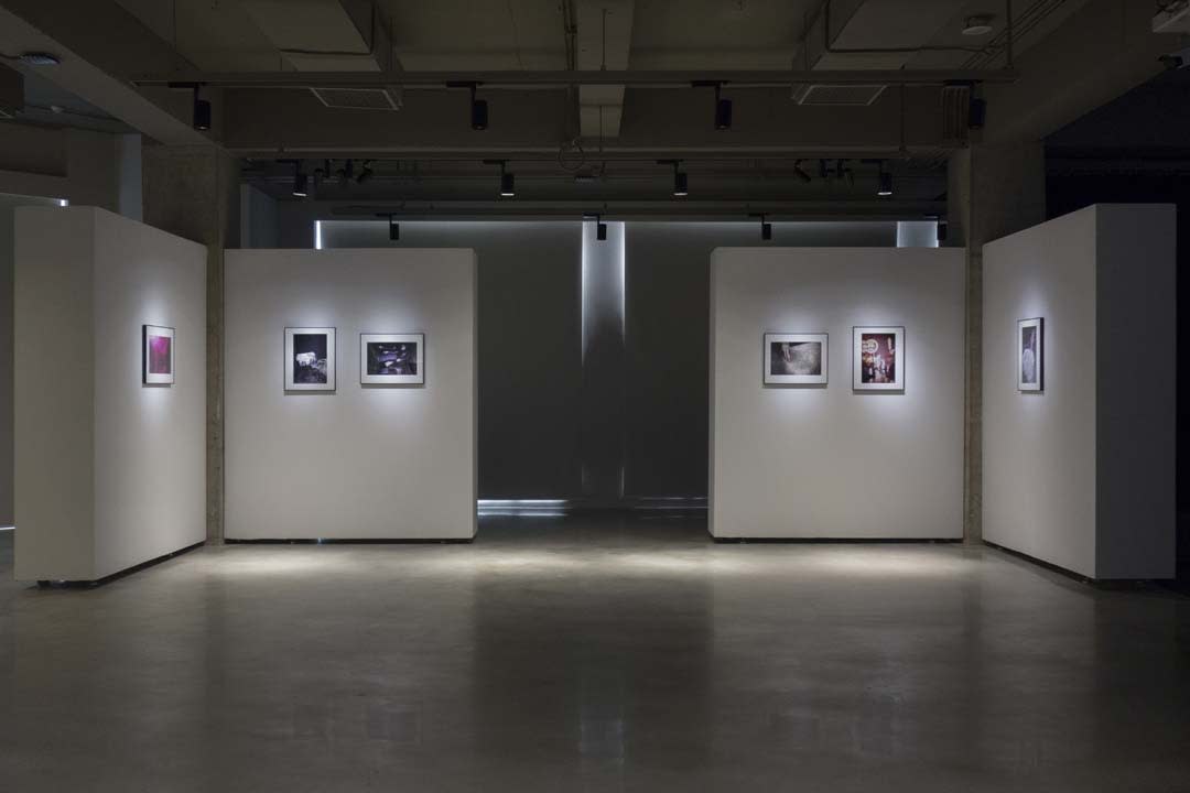 Moriyama Daido － Light Comes Again