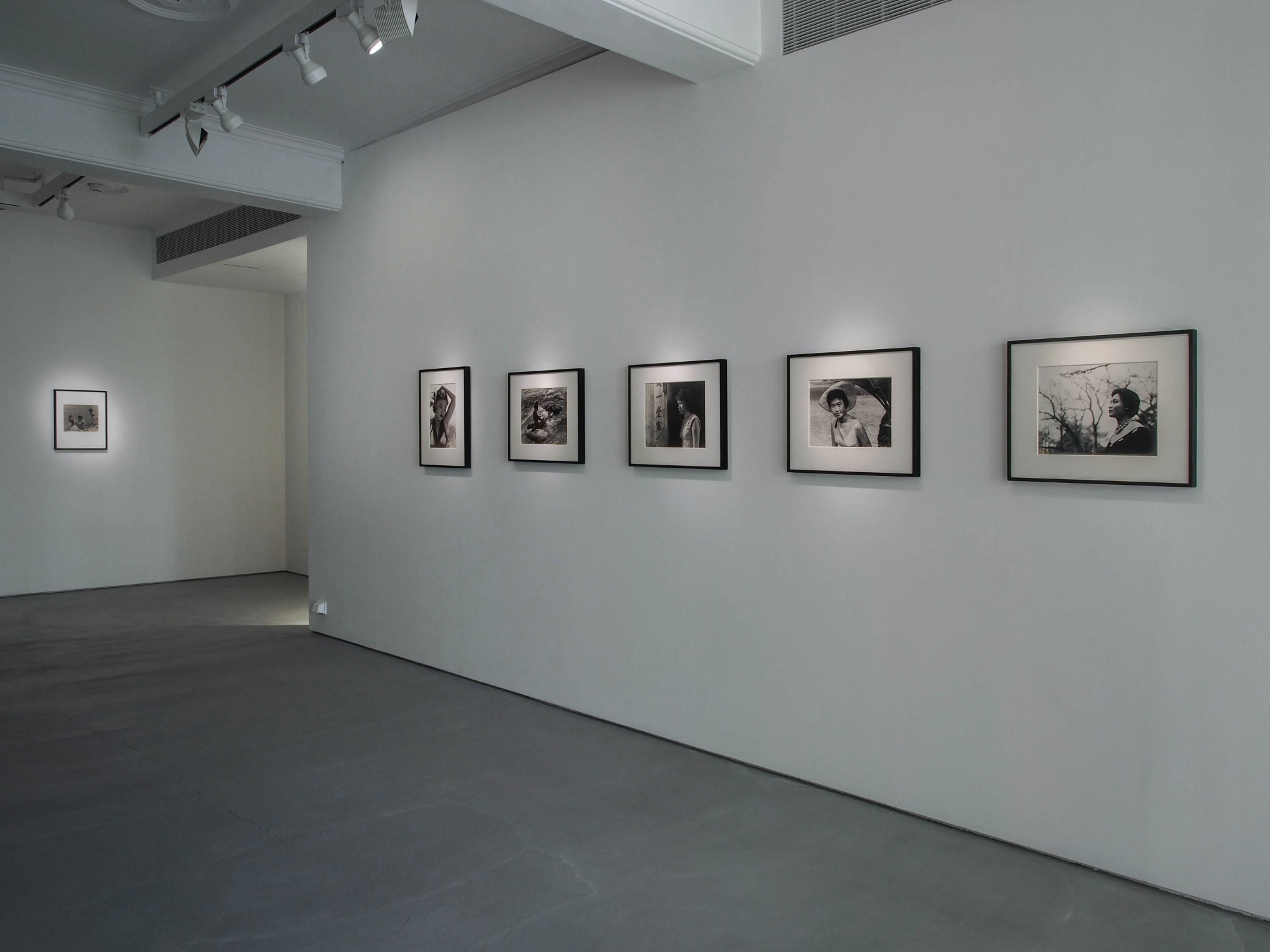 Teng NanKuang－ Beauty on a Summer Day