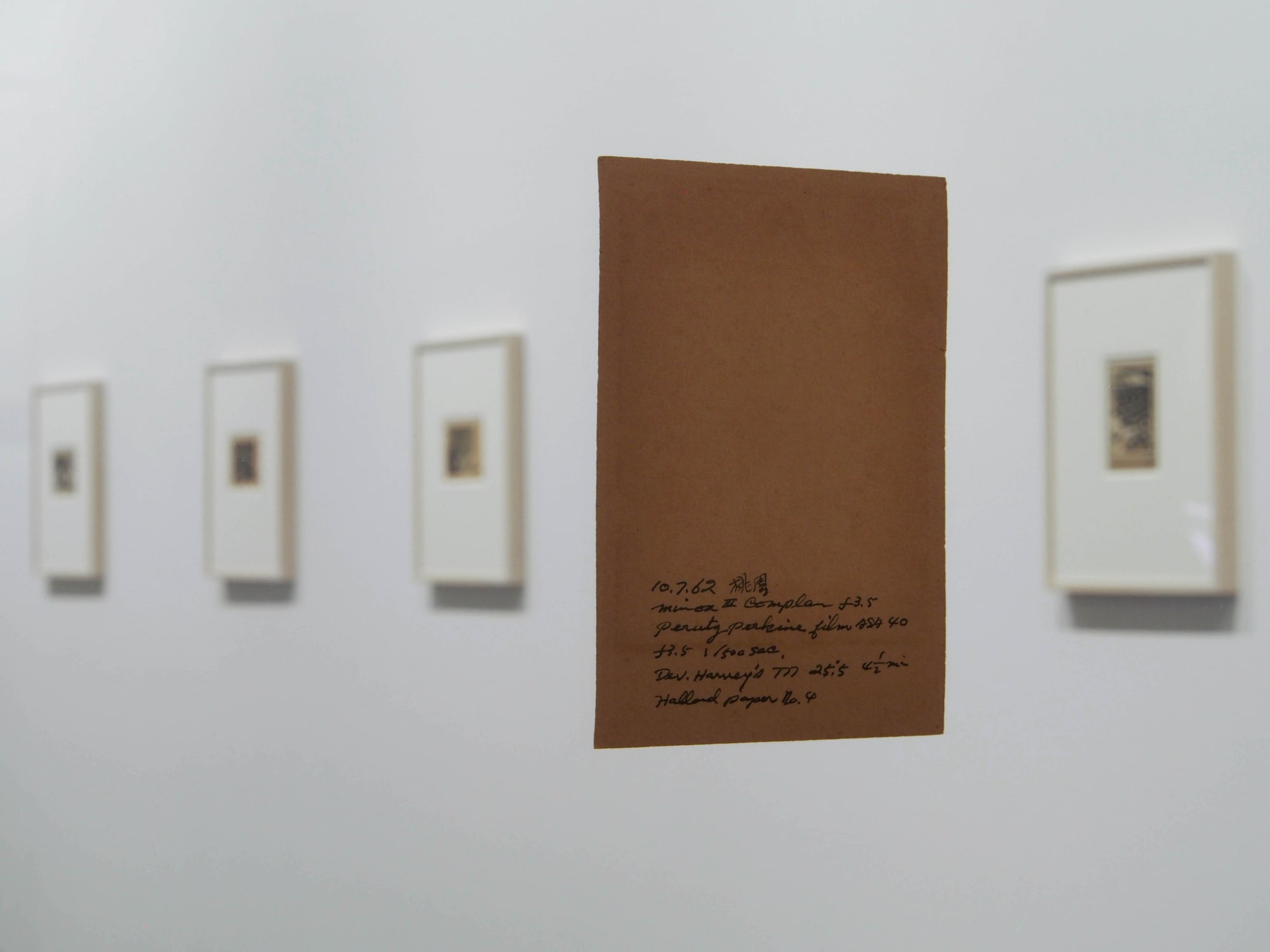 Teng NanKuang－ Beauty on a Summer Day