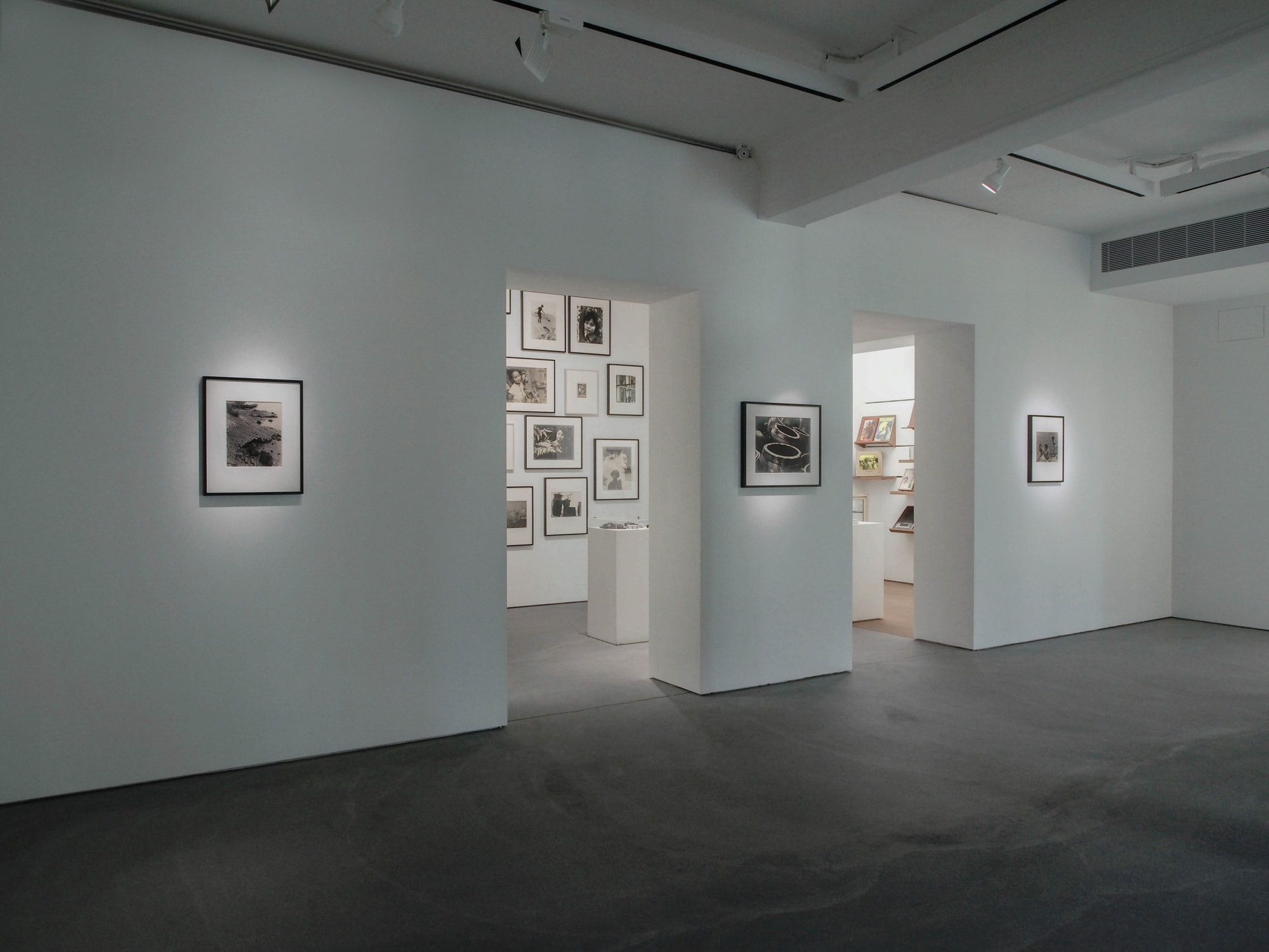 Teng NanKuang－ Beauty on a Summer Day