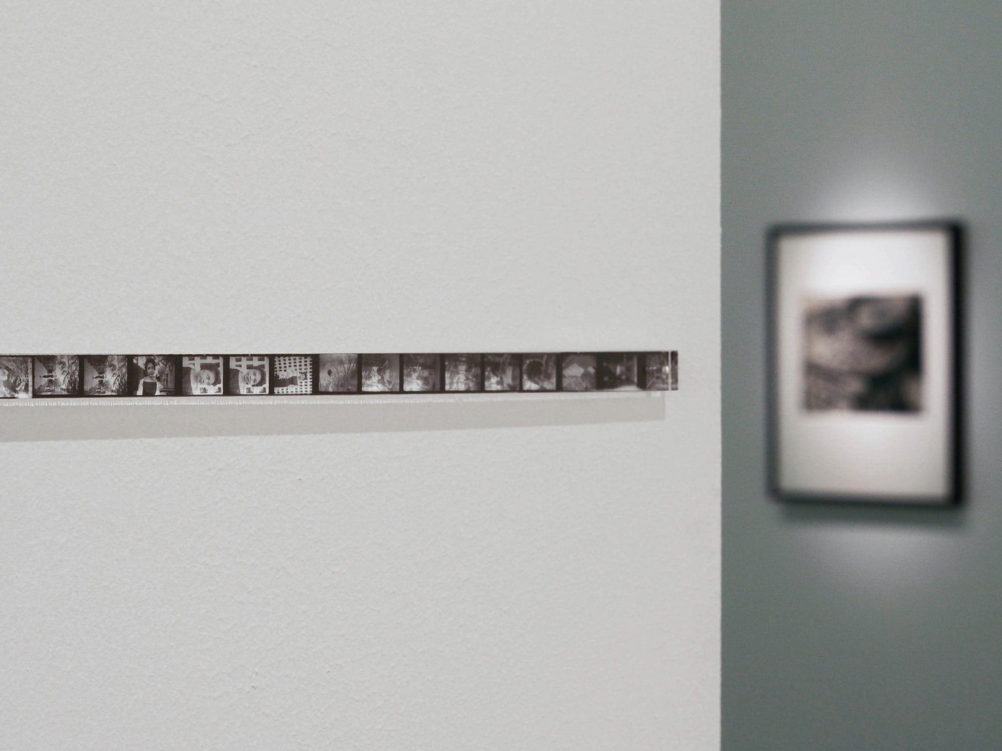 Teng NanKuang－ Beauty on a Summer Day