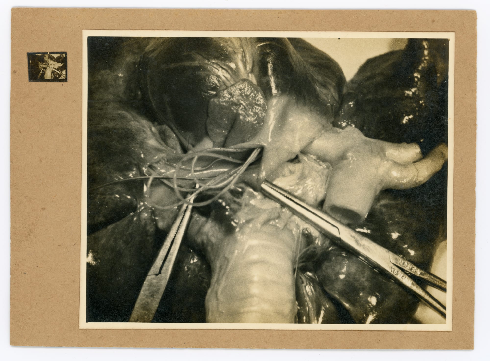 Teng NanKuang, National Taiwan University Hospital, 1962, gelatin silver print, contact print, mounted on brown paper, handwriting of technical details on verso