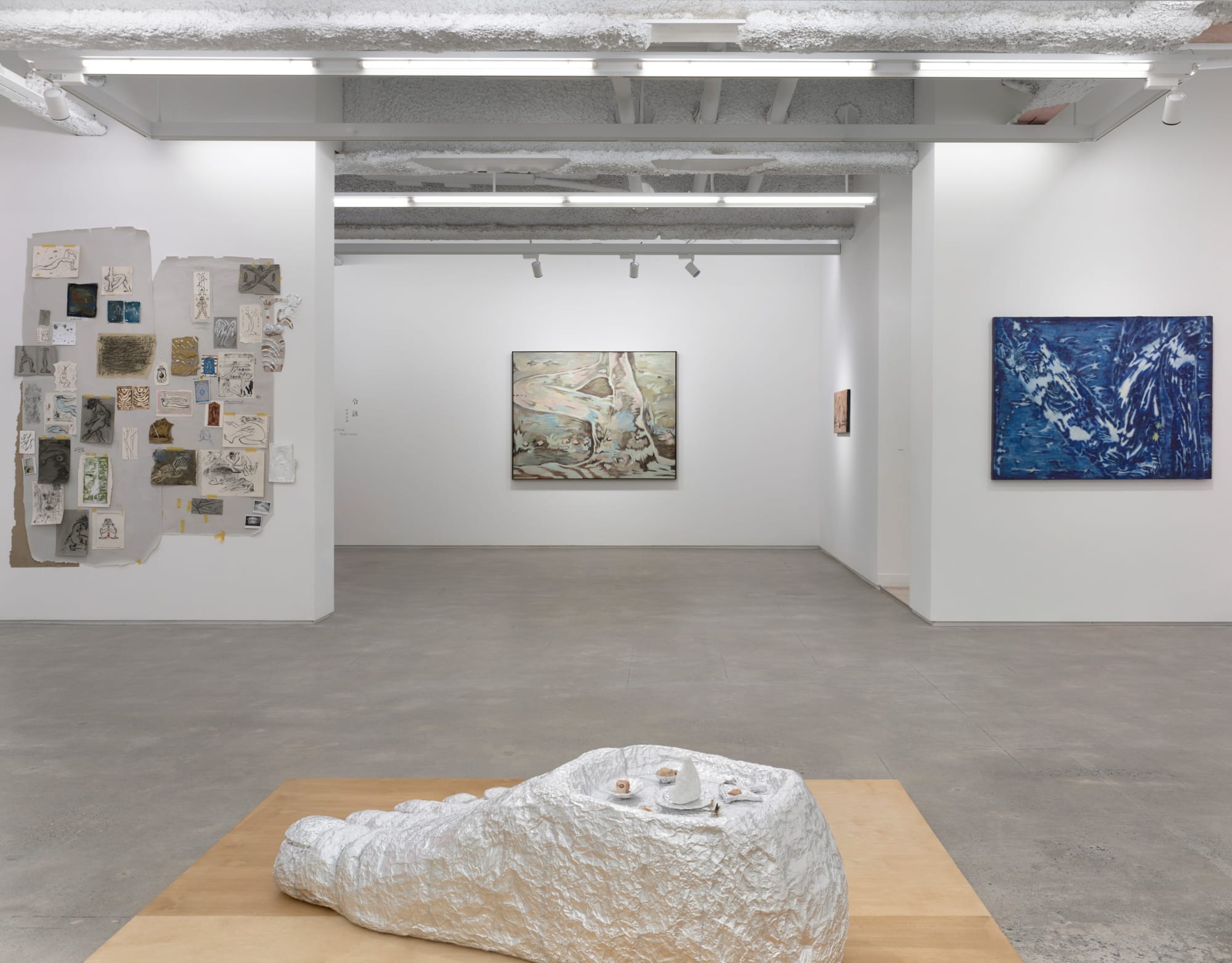 Ling Yung: Body Lesson