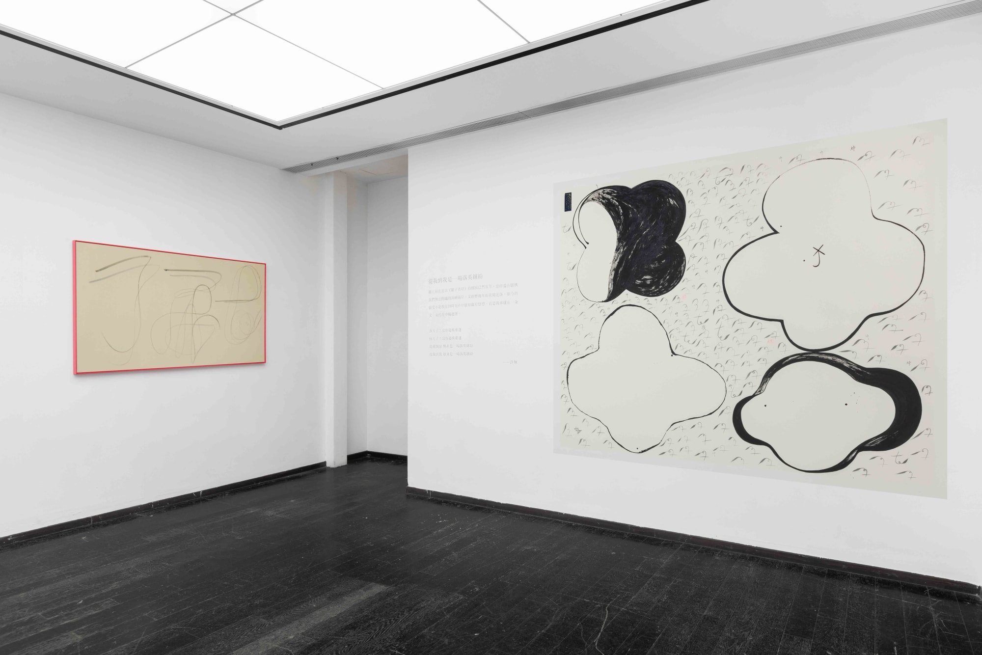 Xu Jiong: Petals, Lost and Lucid