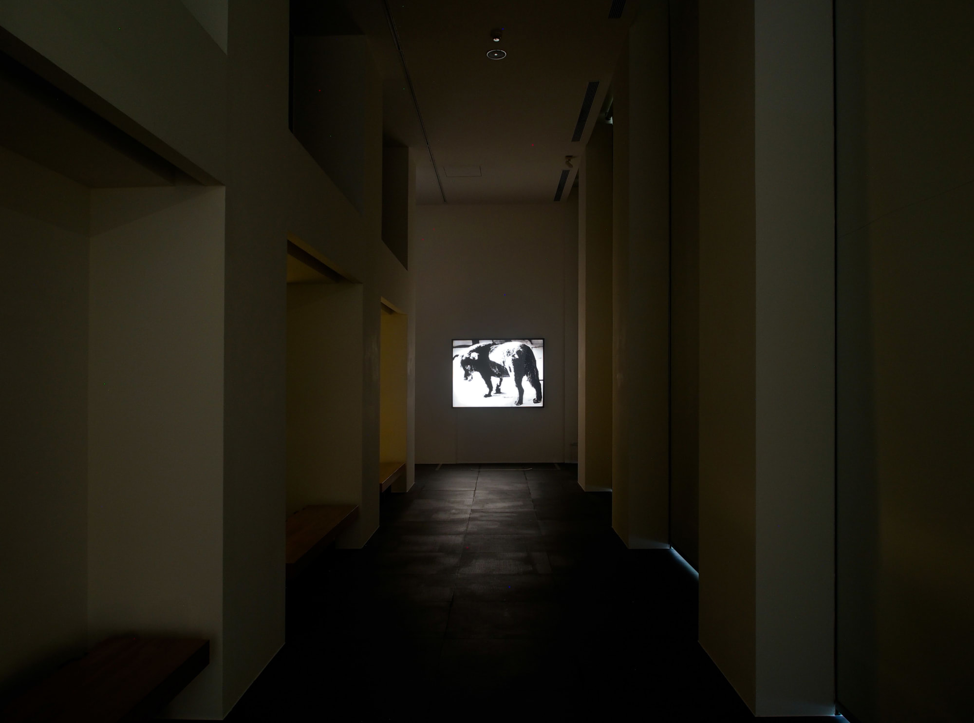 PROVOKE - Opposing Centrism