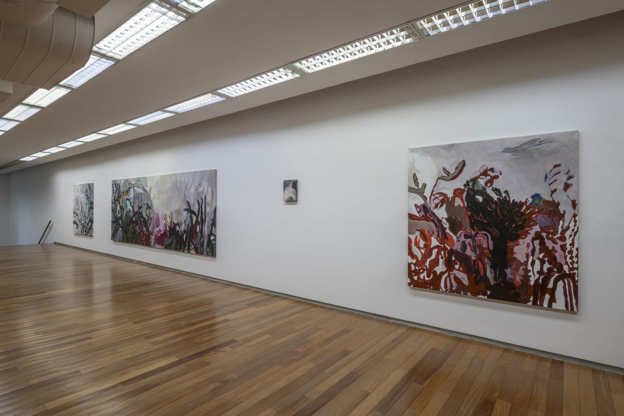 Mata seca, Mata suja