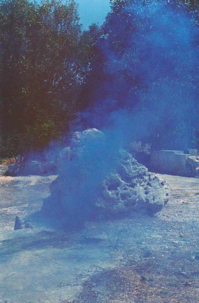 NOAM GRIEST & AMALIE ADRIANWE ALL We All Walk Differently