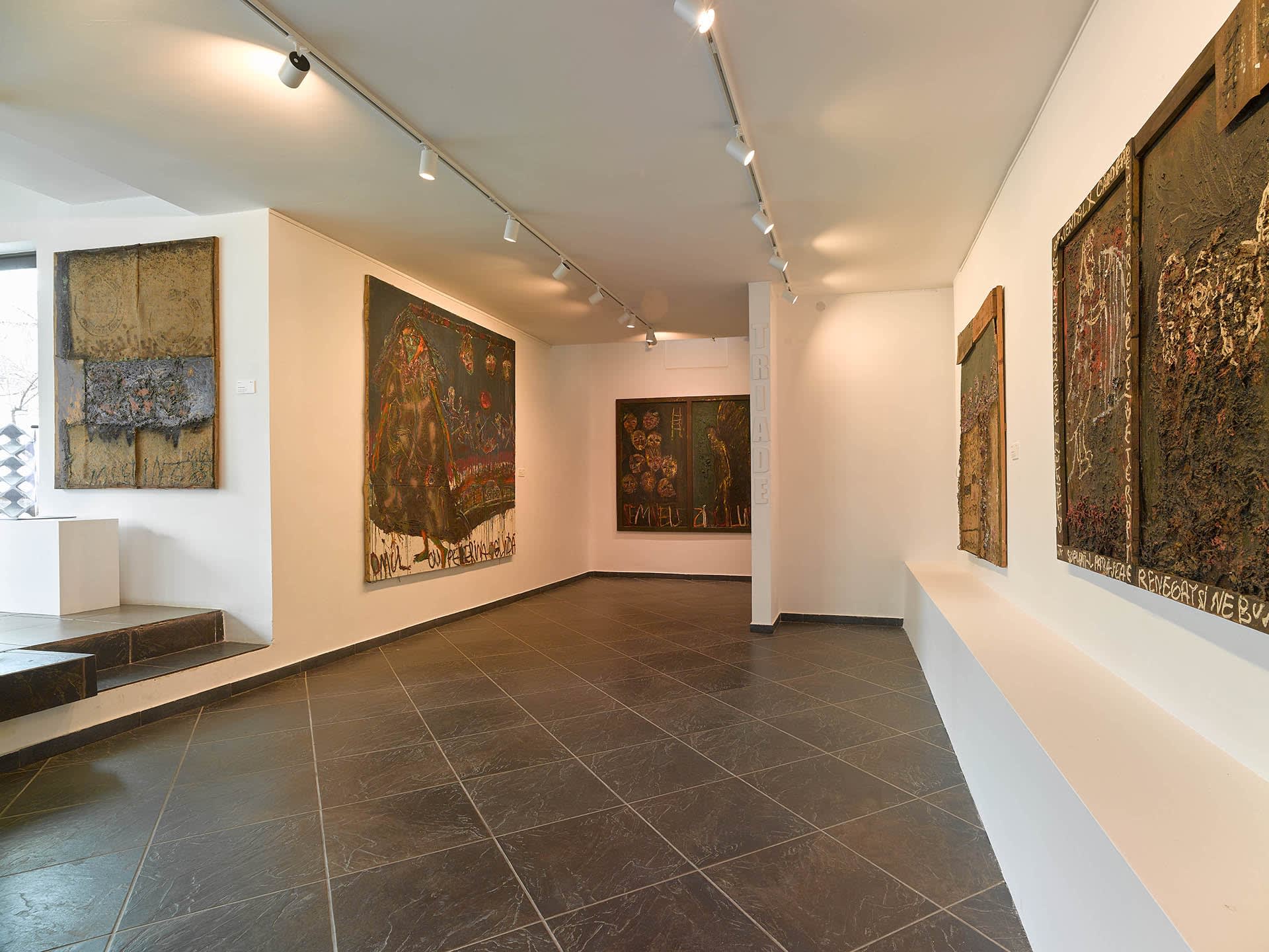 Ioan Aurel Muresan – Signs of the wall