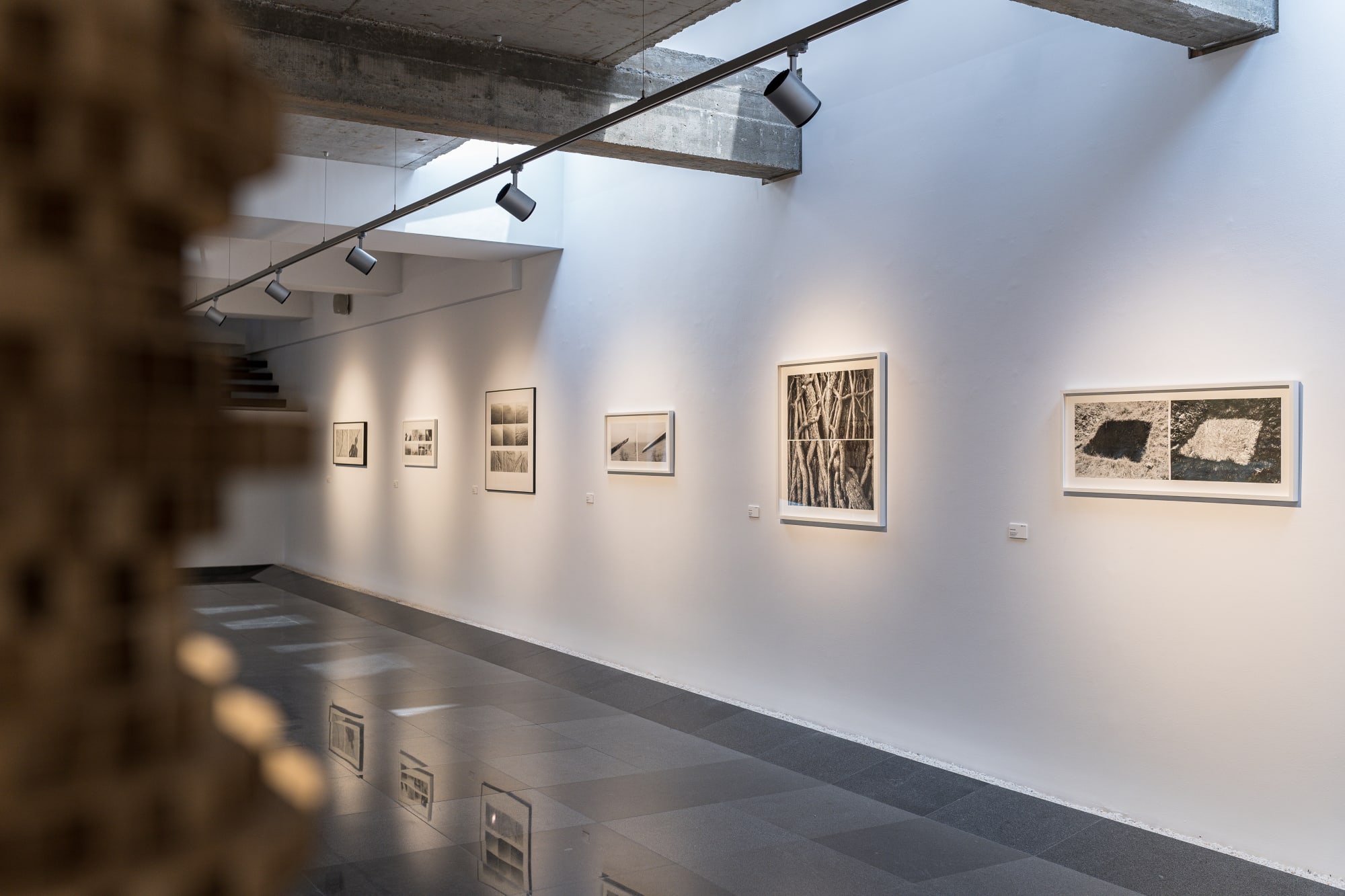 Decebal Scriba - Records Beyond Vision/ Însemnări dincolo de viziune