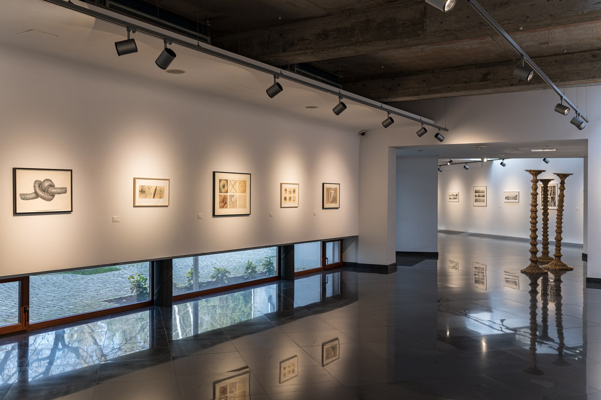 Decebal Scriba - Records Beyond Vision/ Însemnări dincolo de viziune