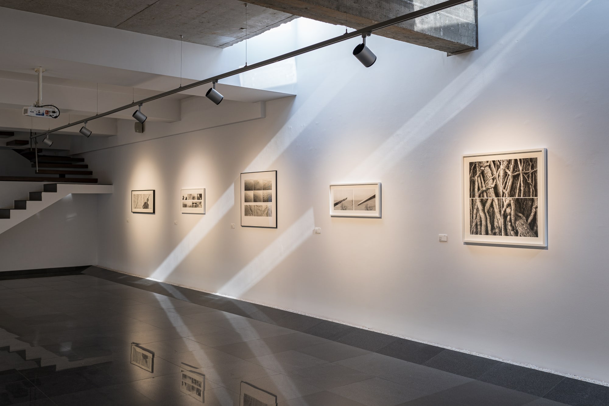 Decebal Scriba - Records Beyond Vision/ Însemnări dincolo de viziune