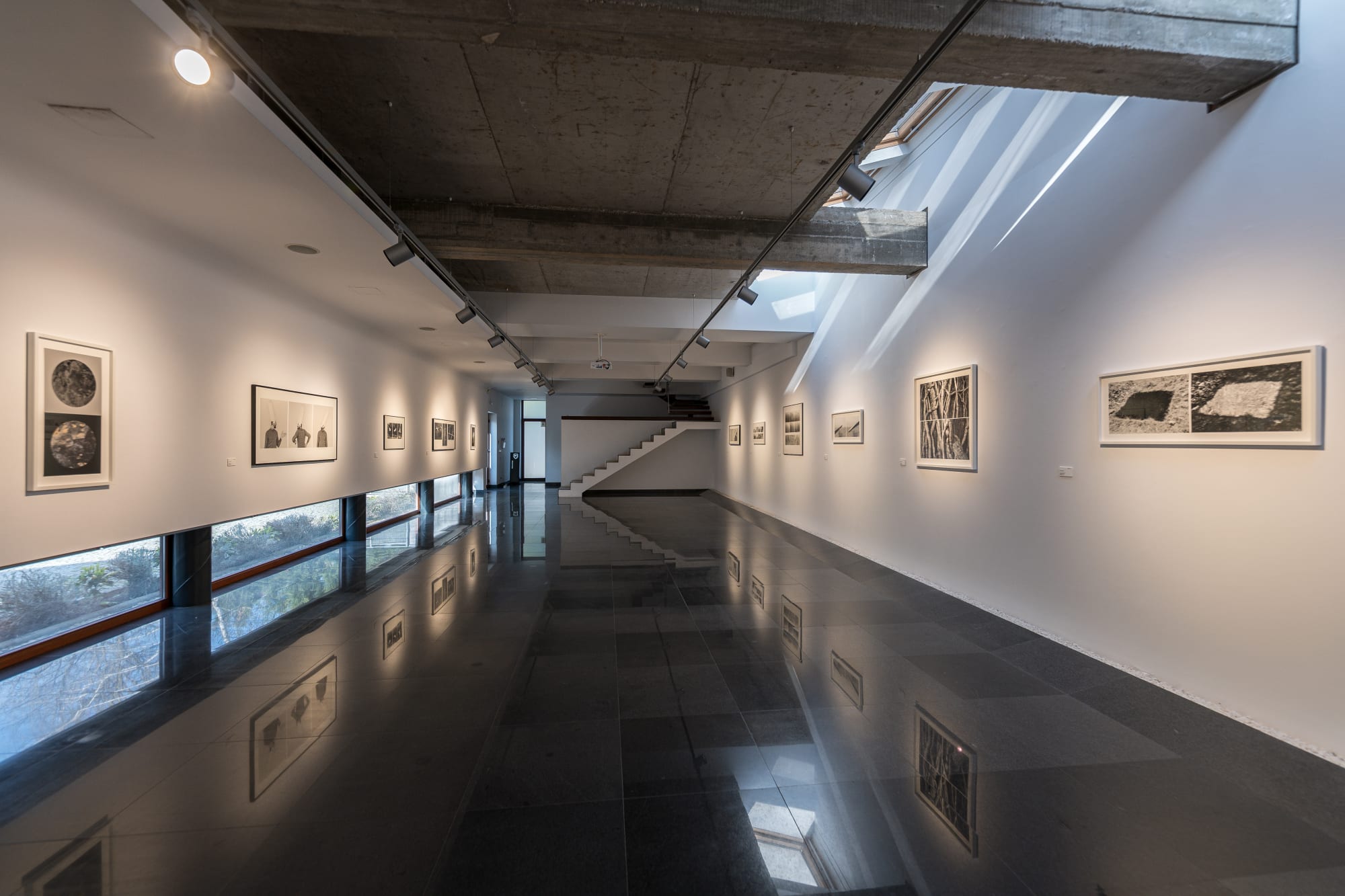 Decebal Scriba - Records Beyond Vision/ Însemnări dincolo de viziune