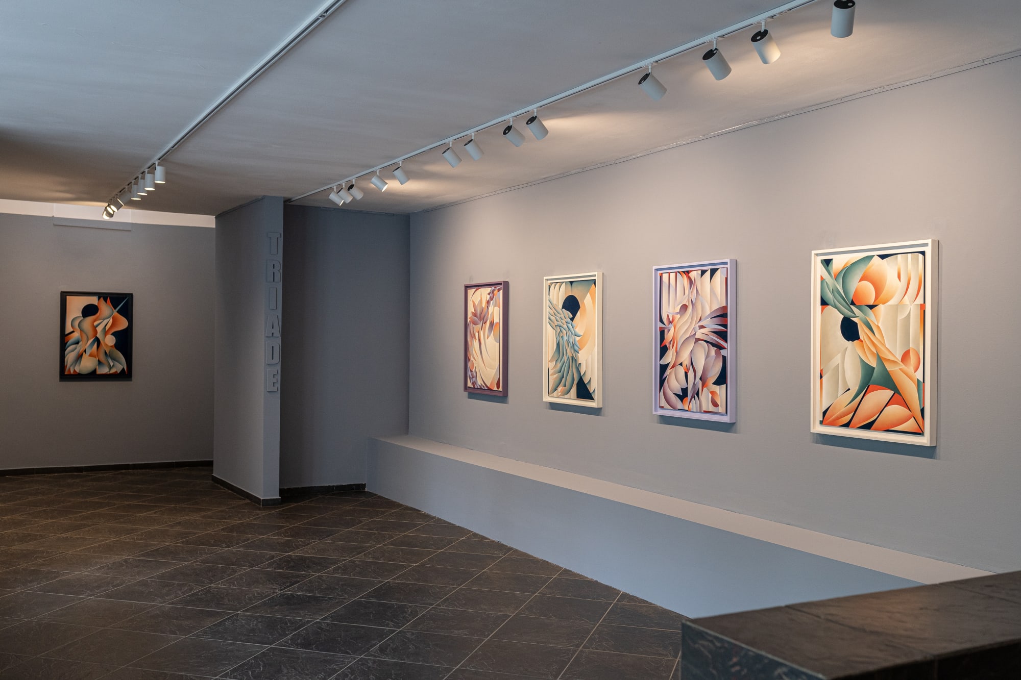 Anita Schmid - Transcendental Translation