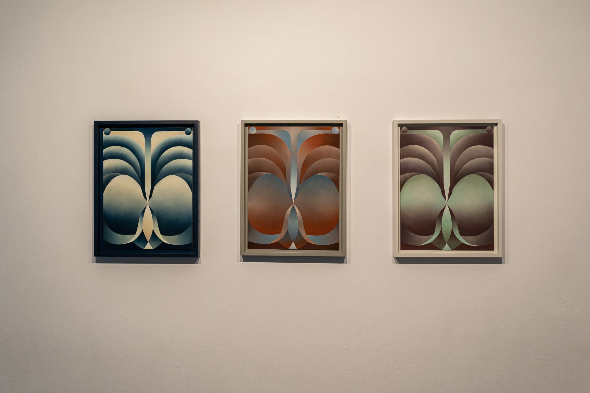 Anita Schmid - Transcendental Translation