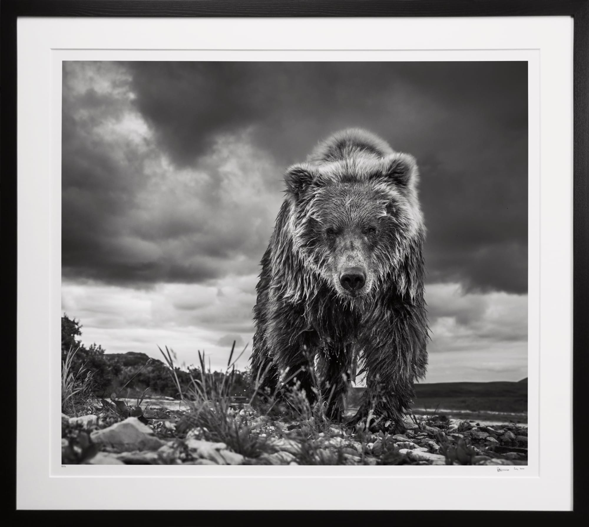 Selected works by David Yarrow