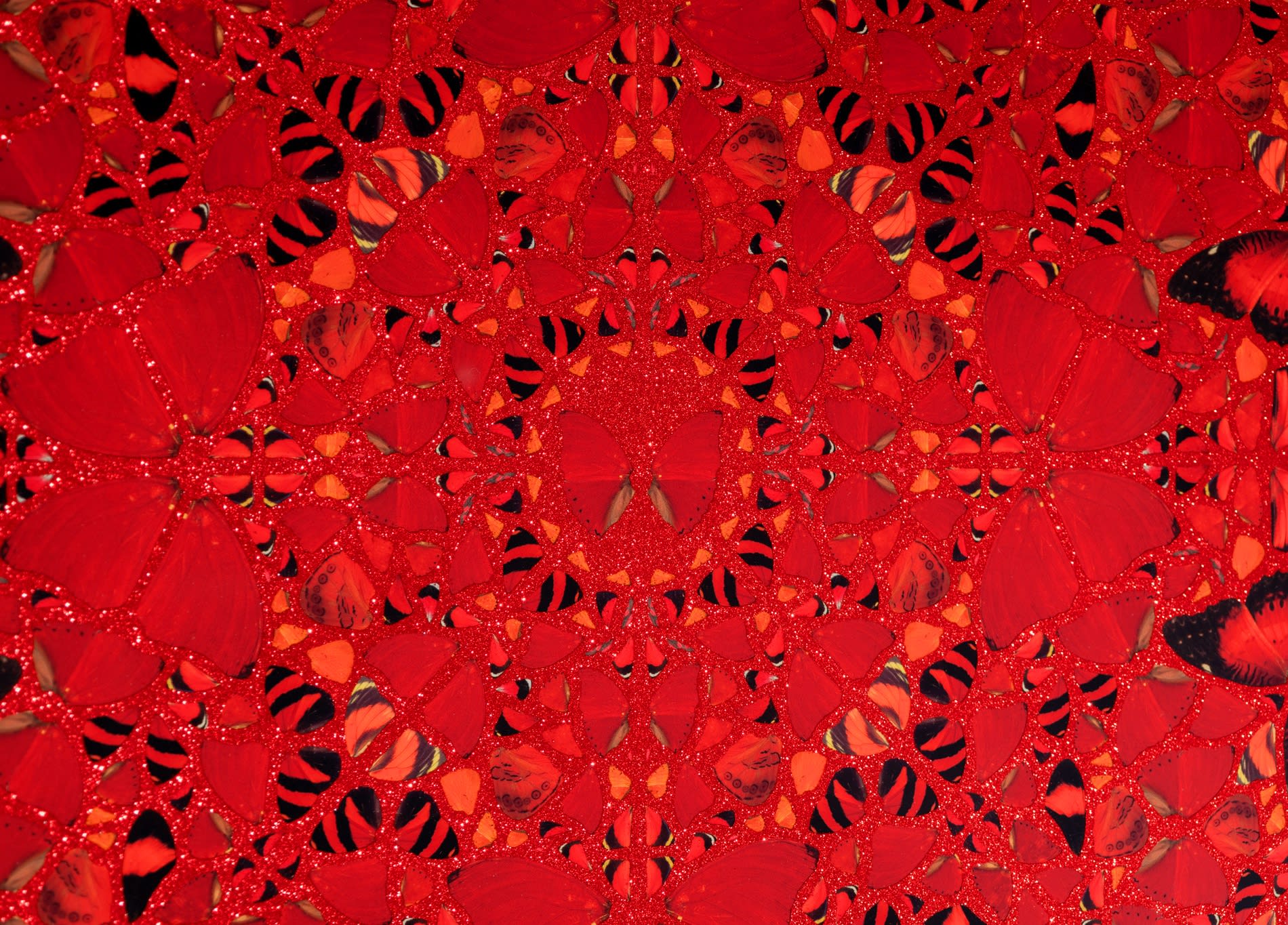 The Empresses by Damien Hirst