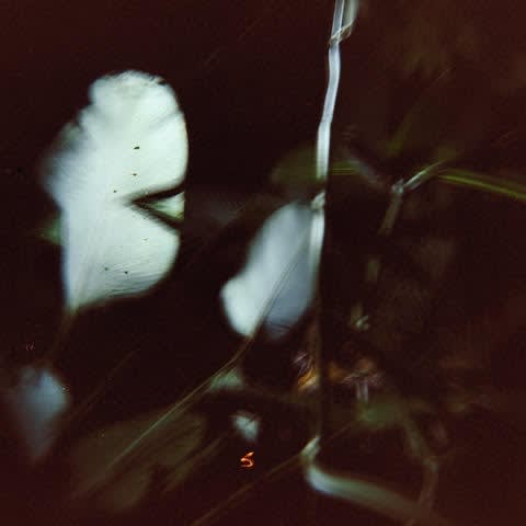 Bryce Krynski, noche de la seva #2, 2024