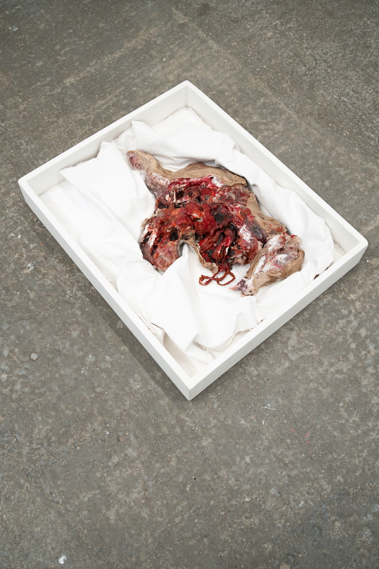 Unberührt, 2023 wax, textile, wood, plaster 48 x 59 x 10 cm