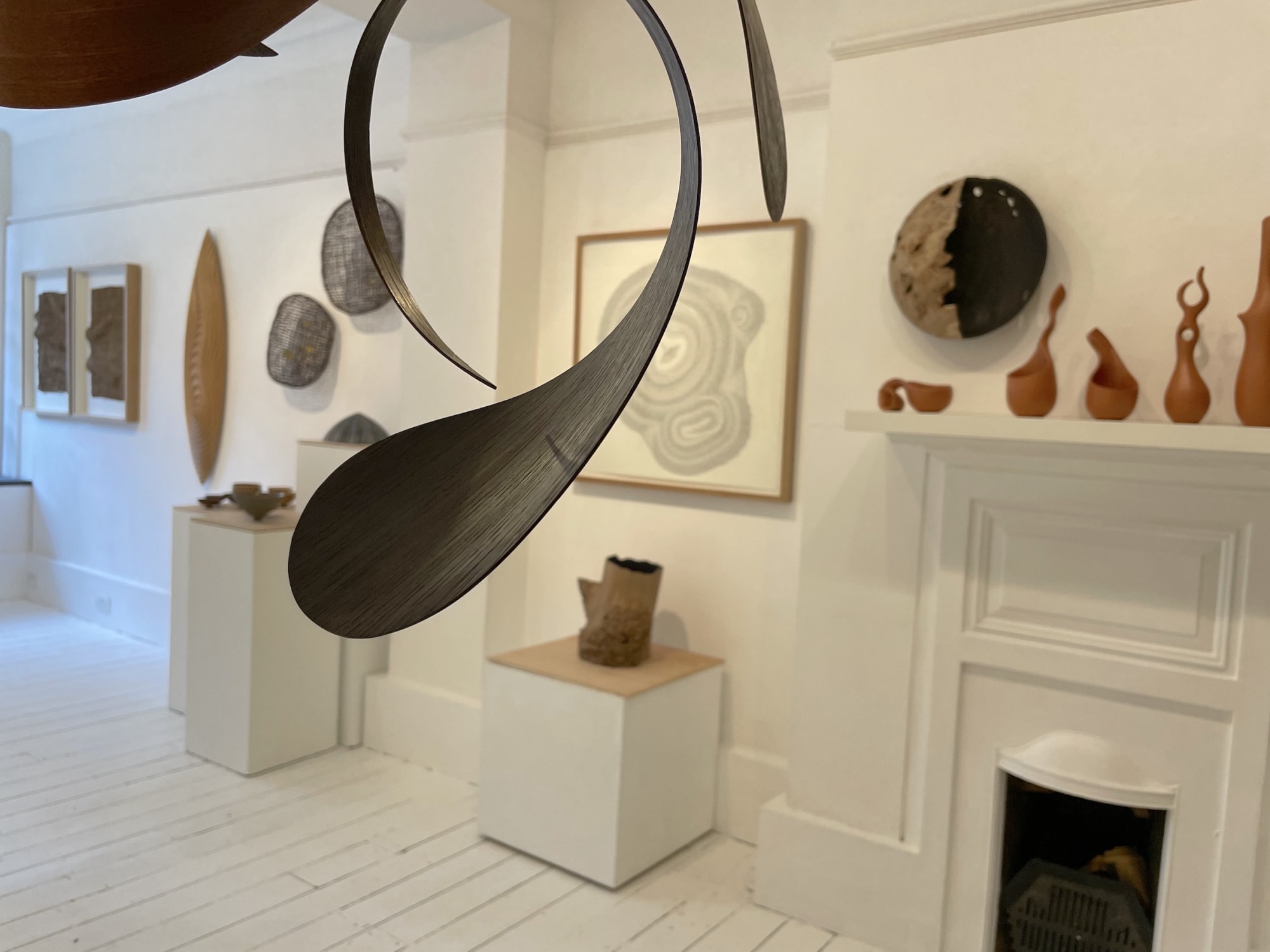 Of branch, twig and trunk