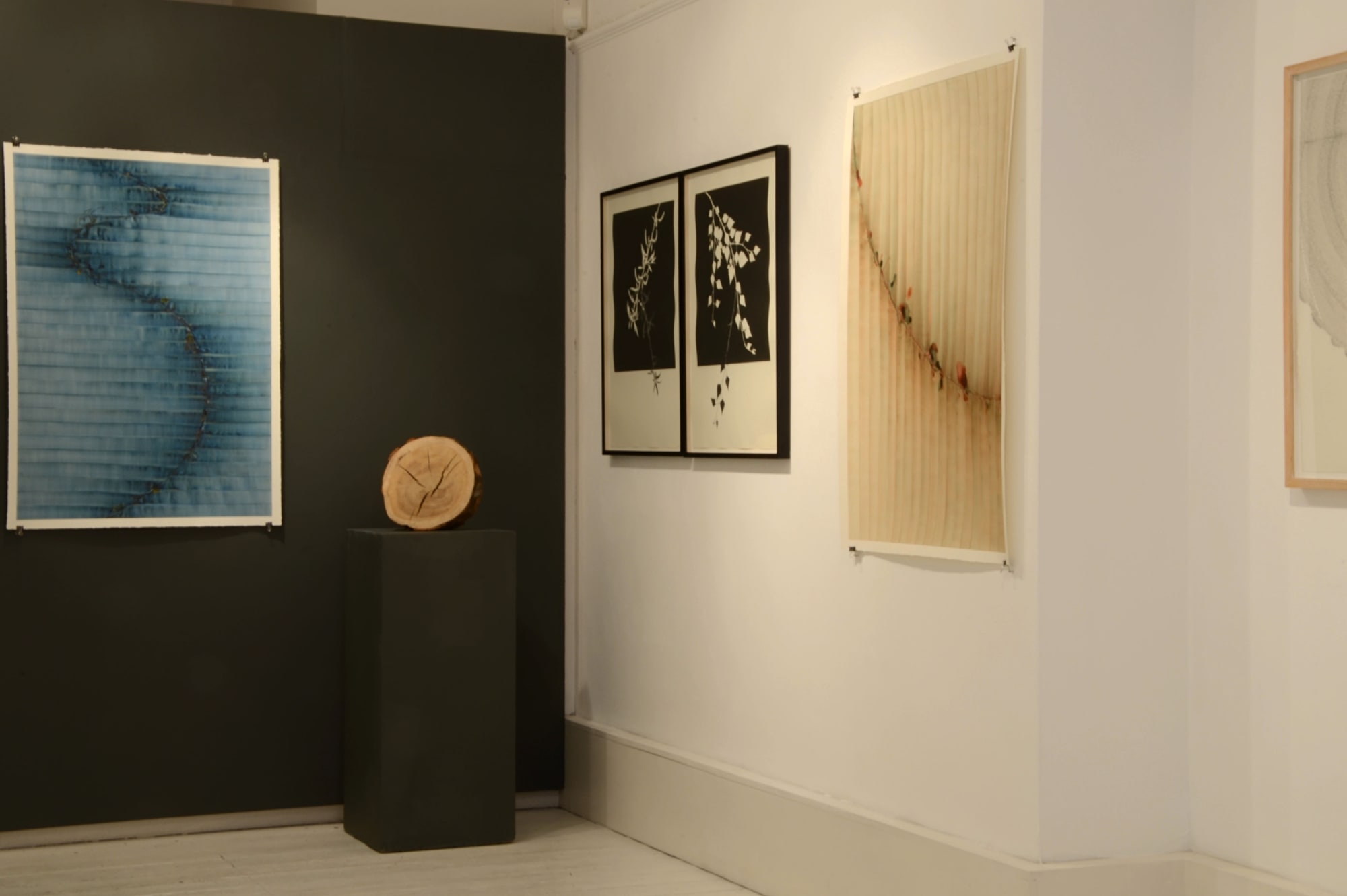 Patricia Swannell | Memories for the Time Being